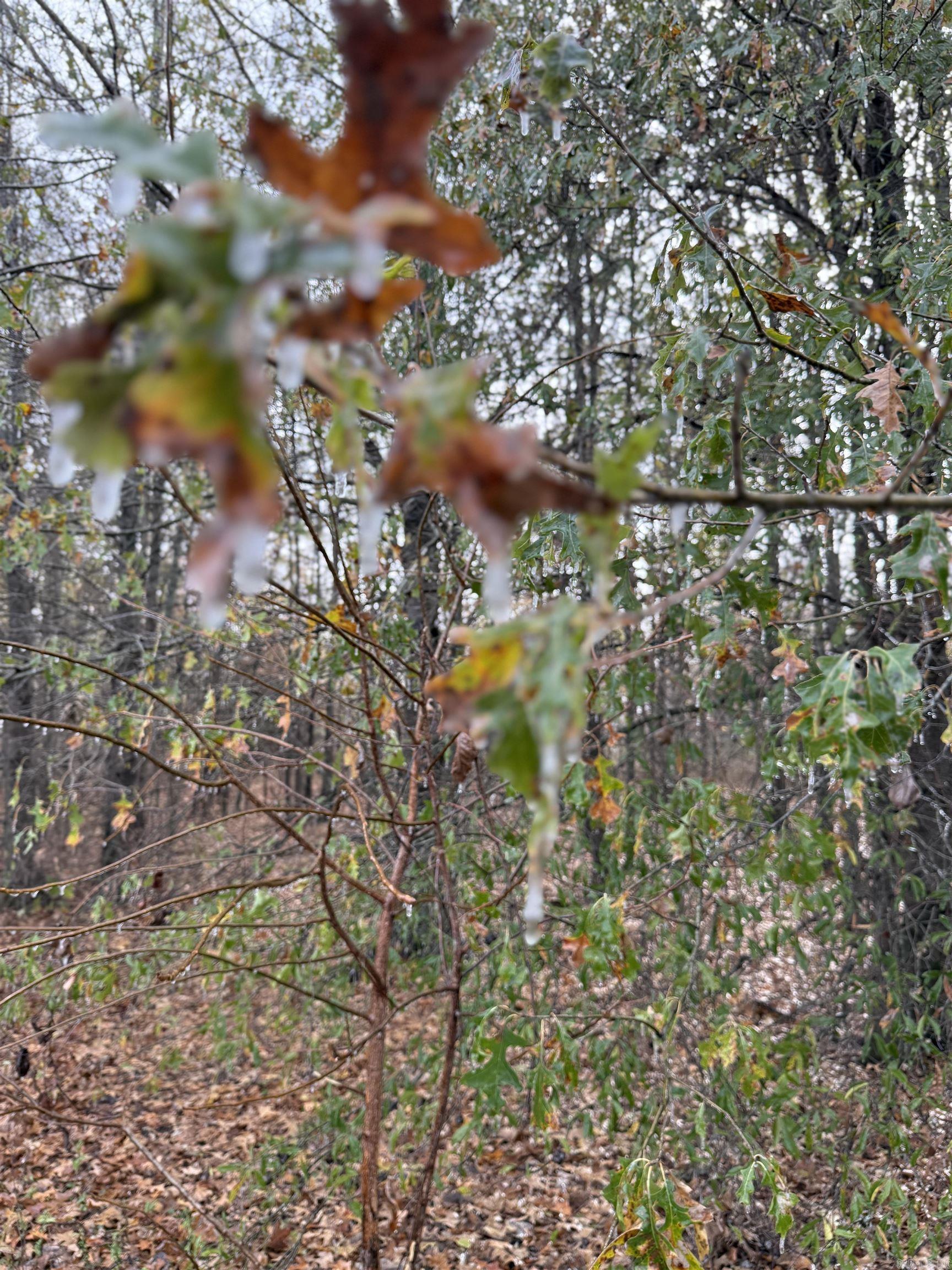 118 cloar rd  Earle, AR