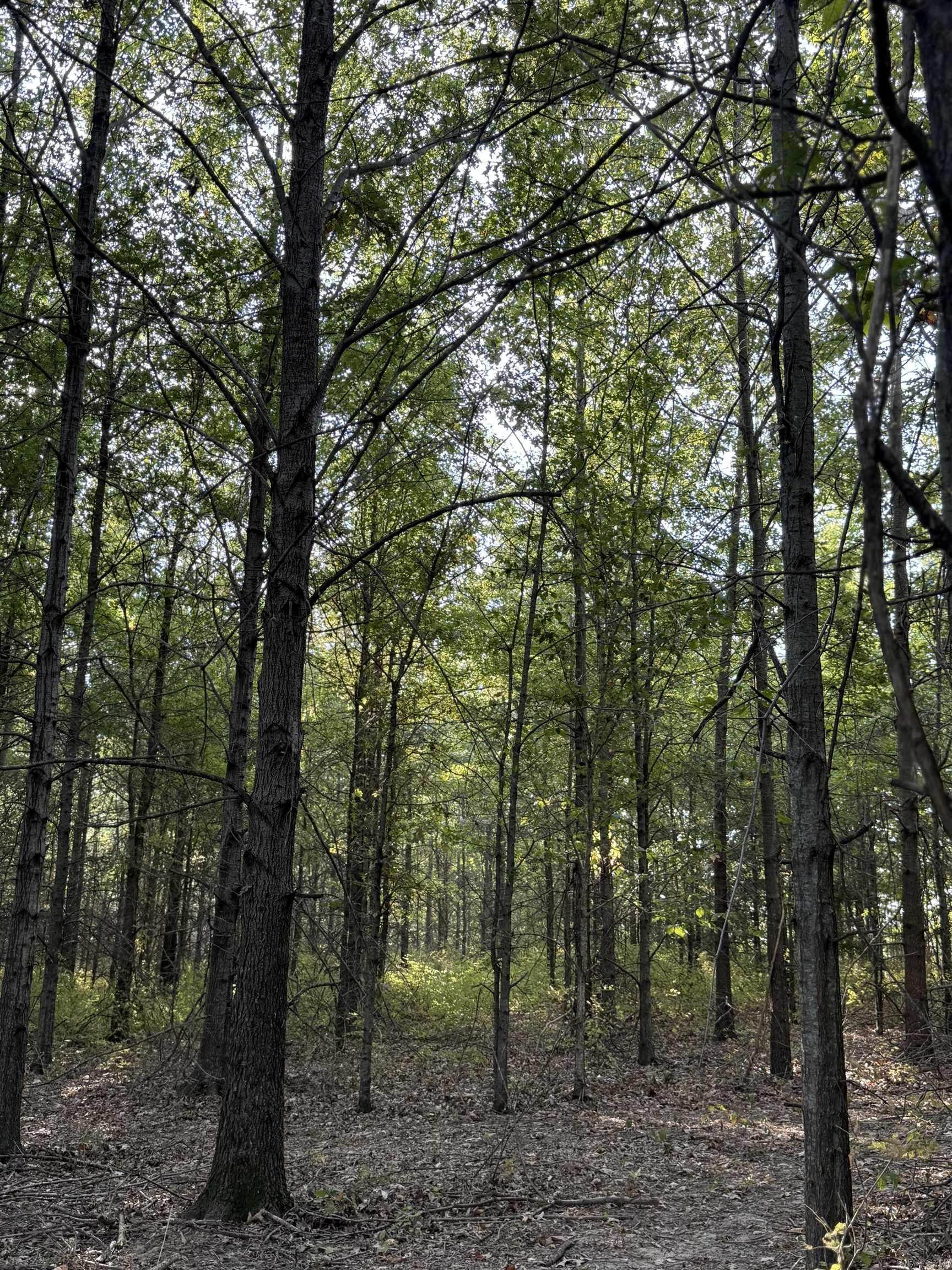 118 cloar rd  Earle, AR