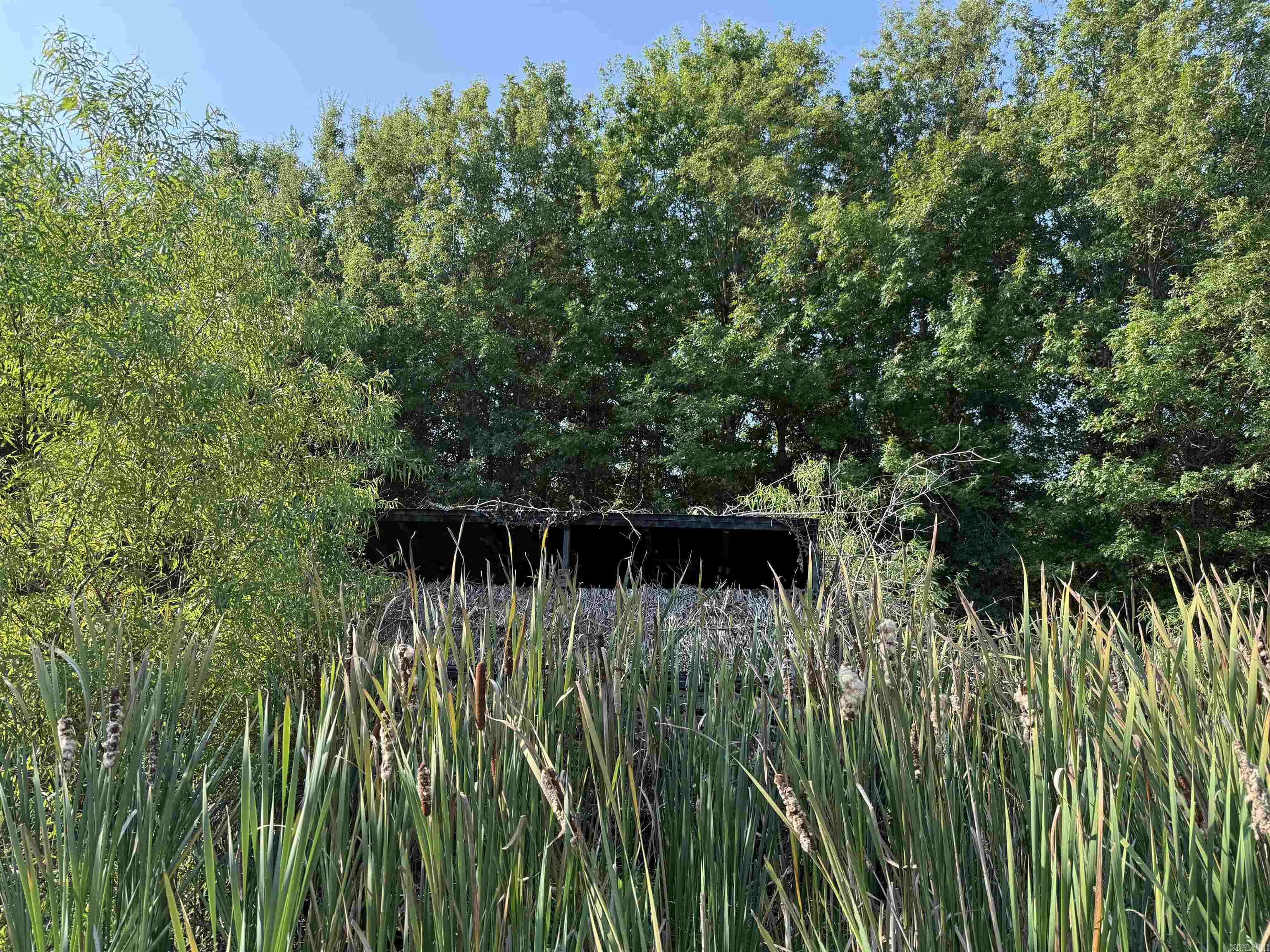 118 cloar rd  Earle, AR