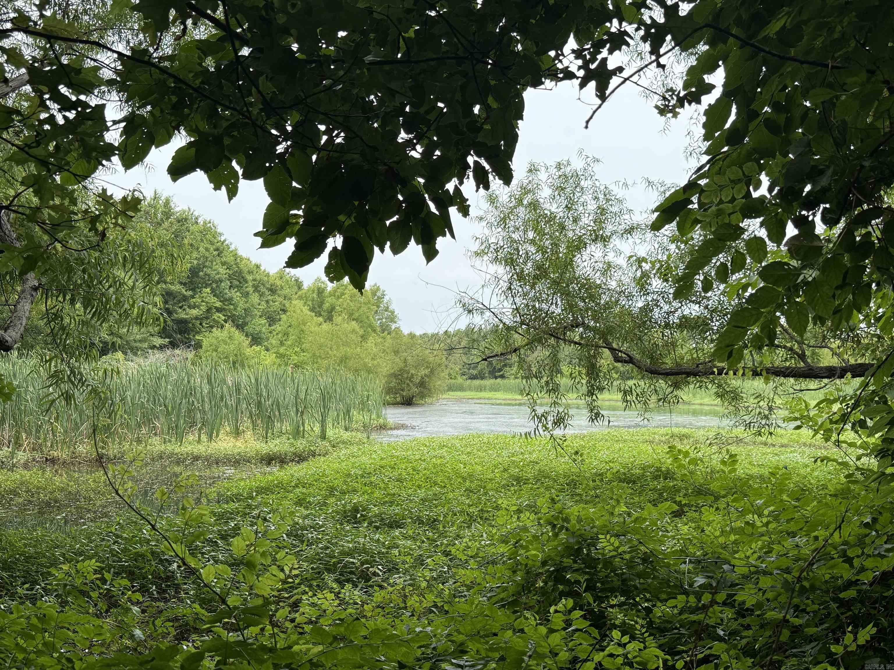 118 cloar rd  Earle, AR