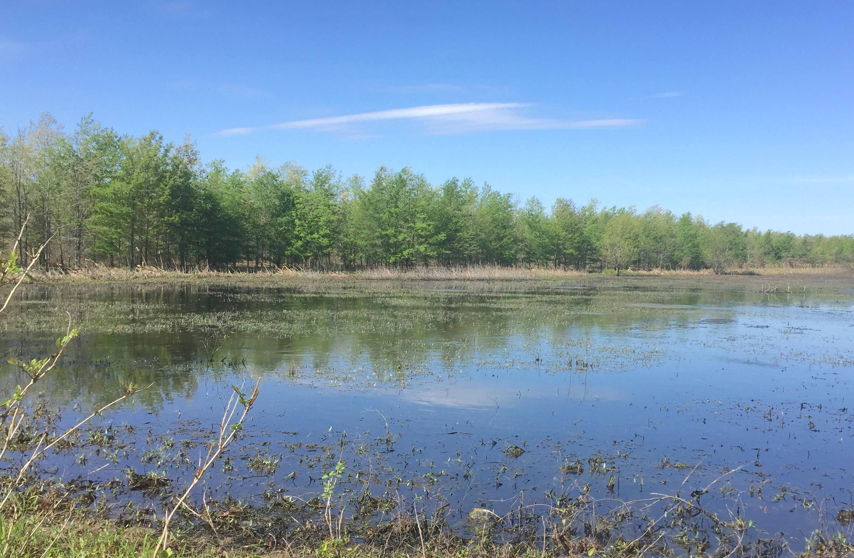 118 cloar rd  Earle, AR