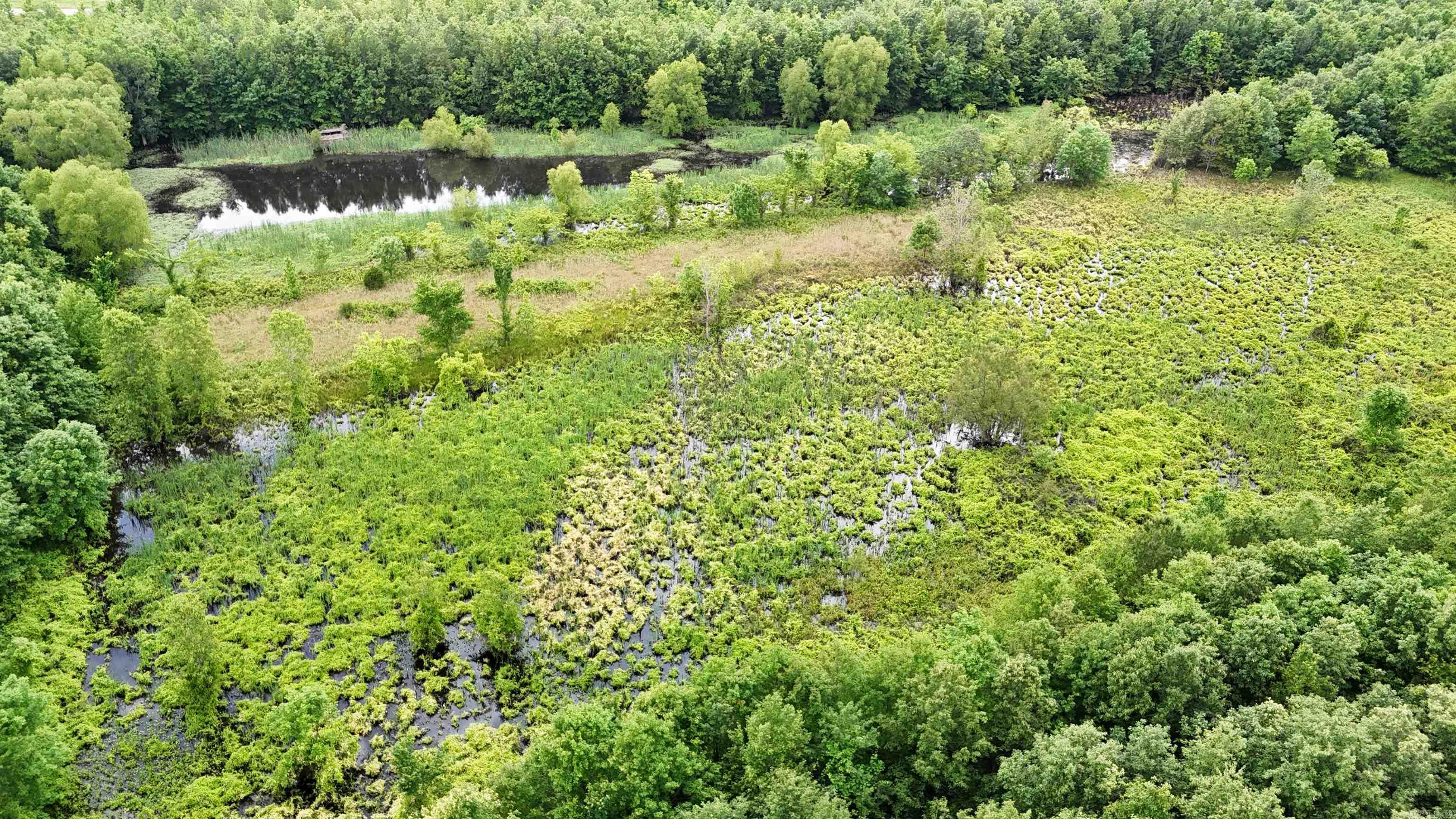 118 cloar rd  Earle, AR