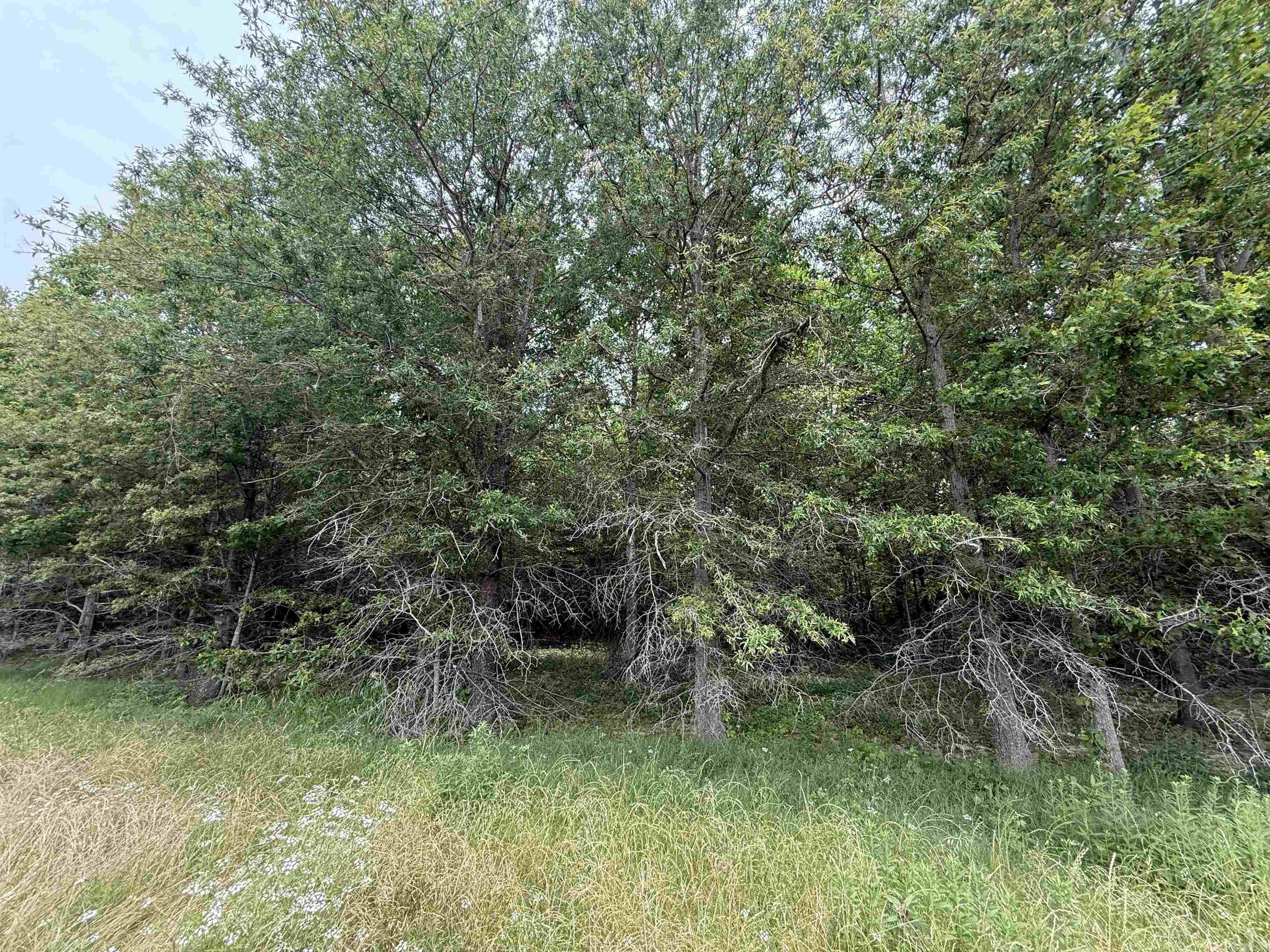 118 cloar rd  Earle, AR