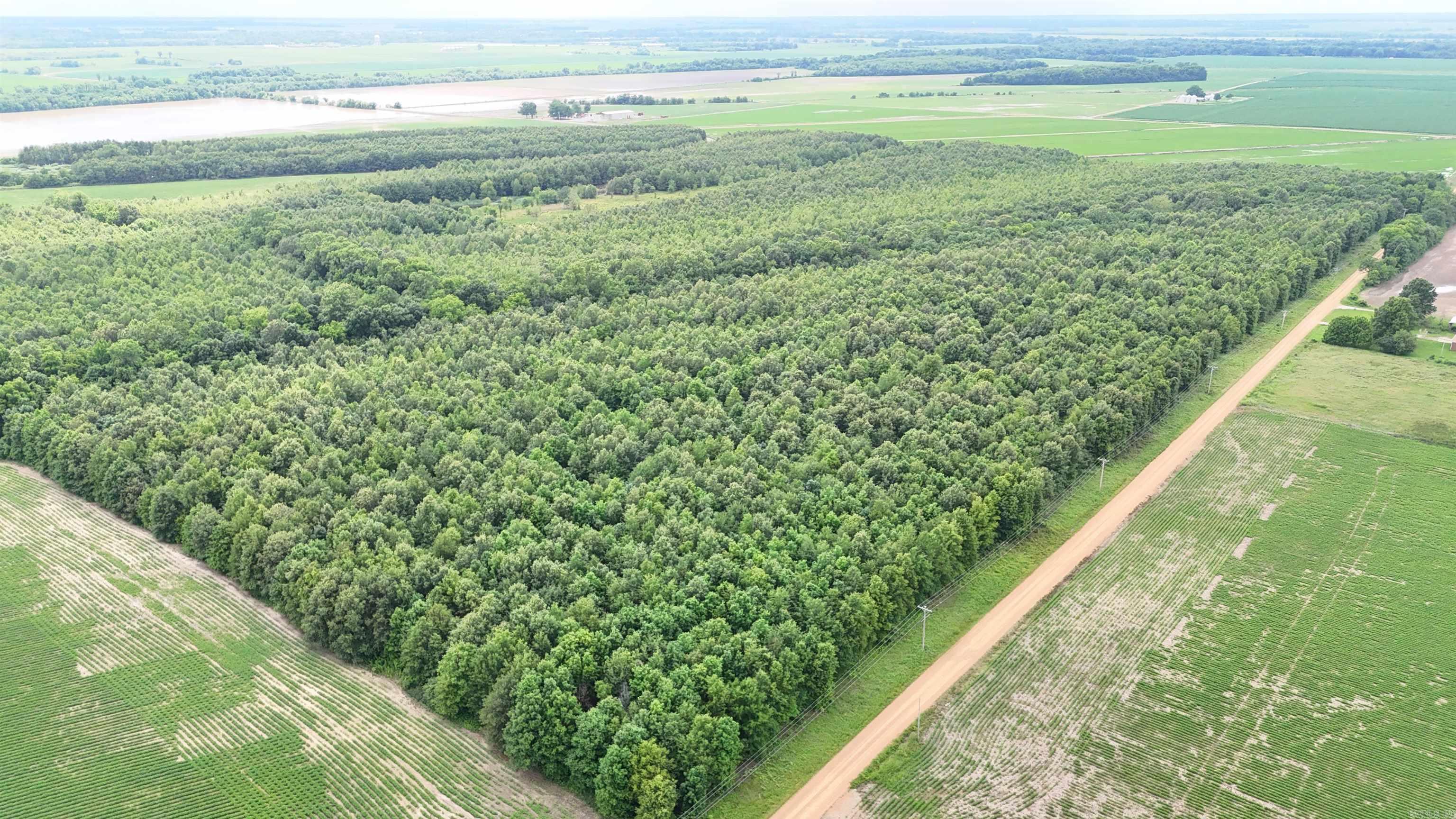 118 cloar rd  Earle, AR