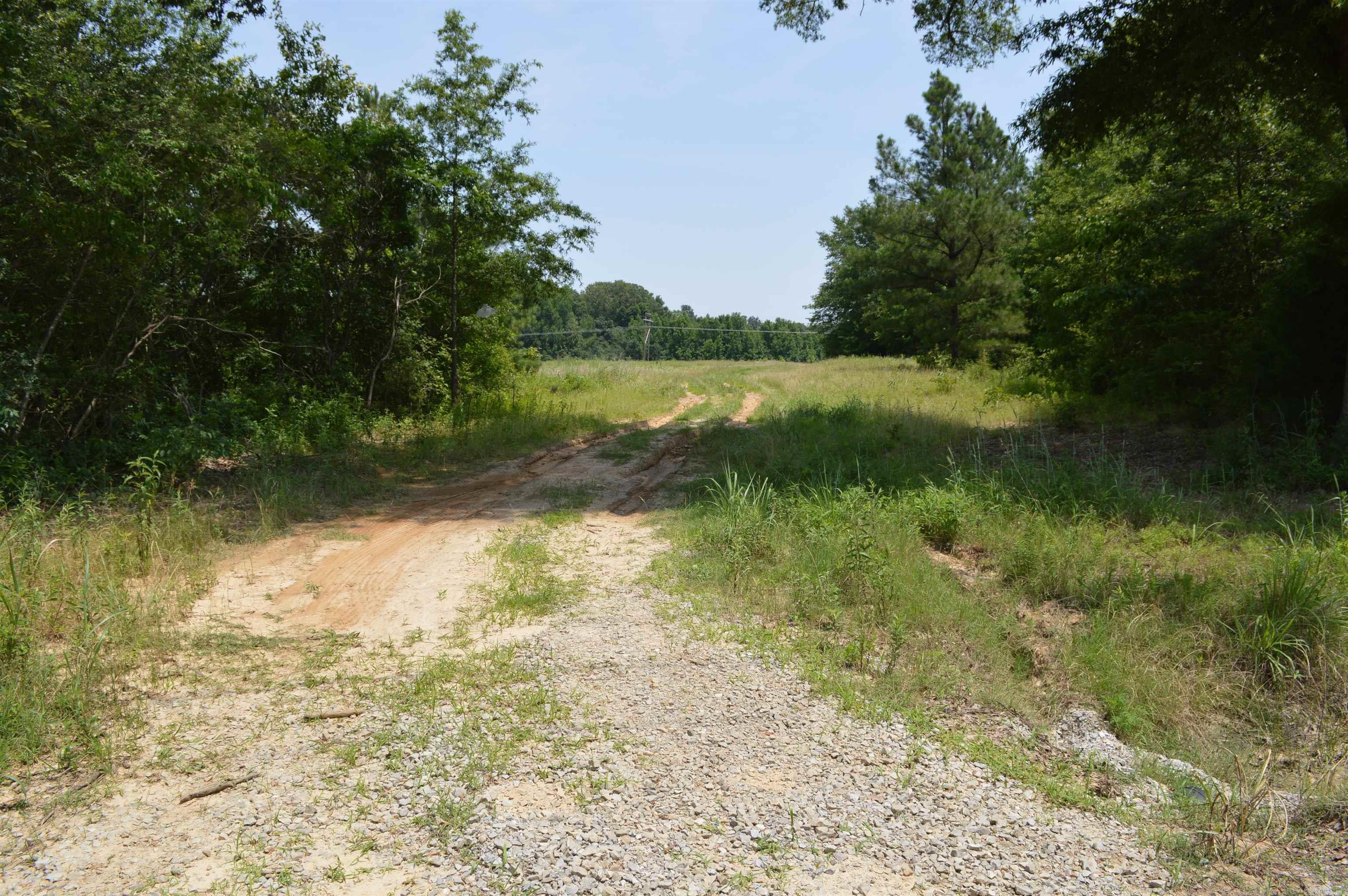 40 Acres  Fisher, AR
