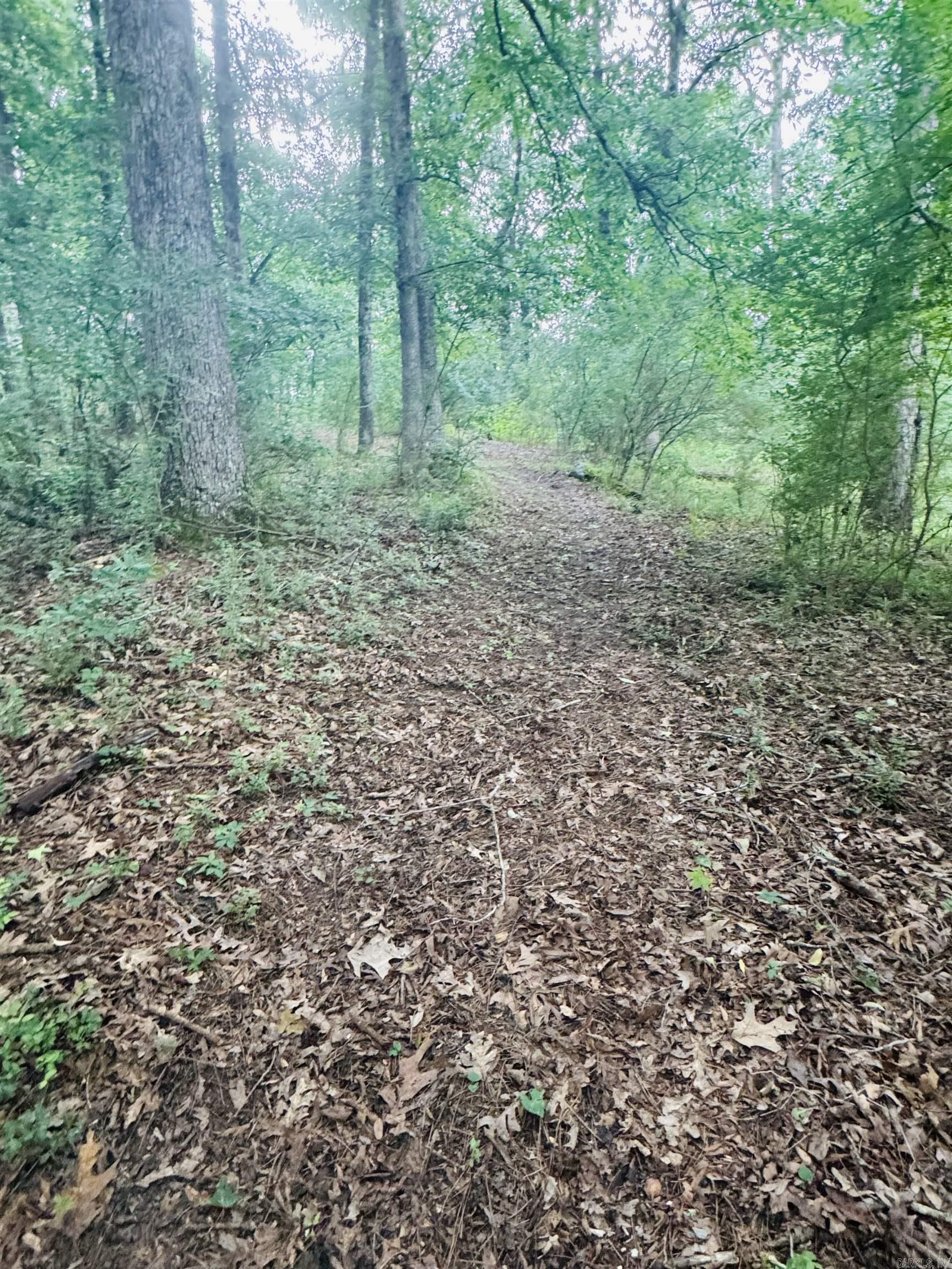 122 Mesa  Hot Springs, AR