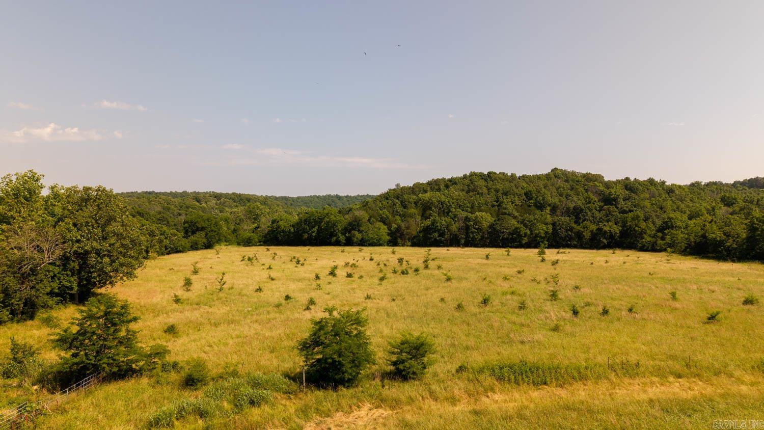 804 Banks Road Hardy, AR 72542