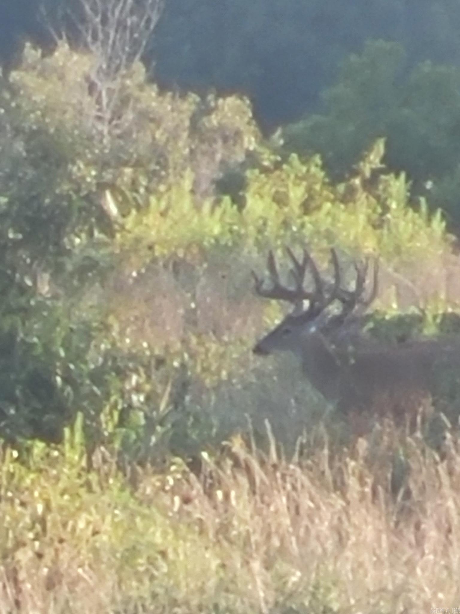 804 Banks Road Hardy, AR 72542