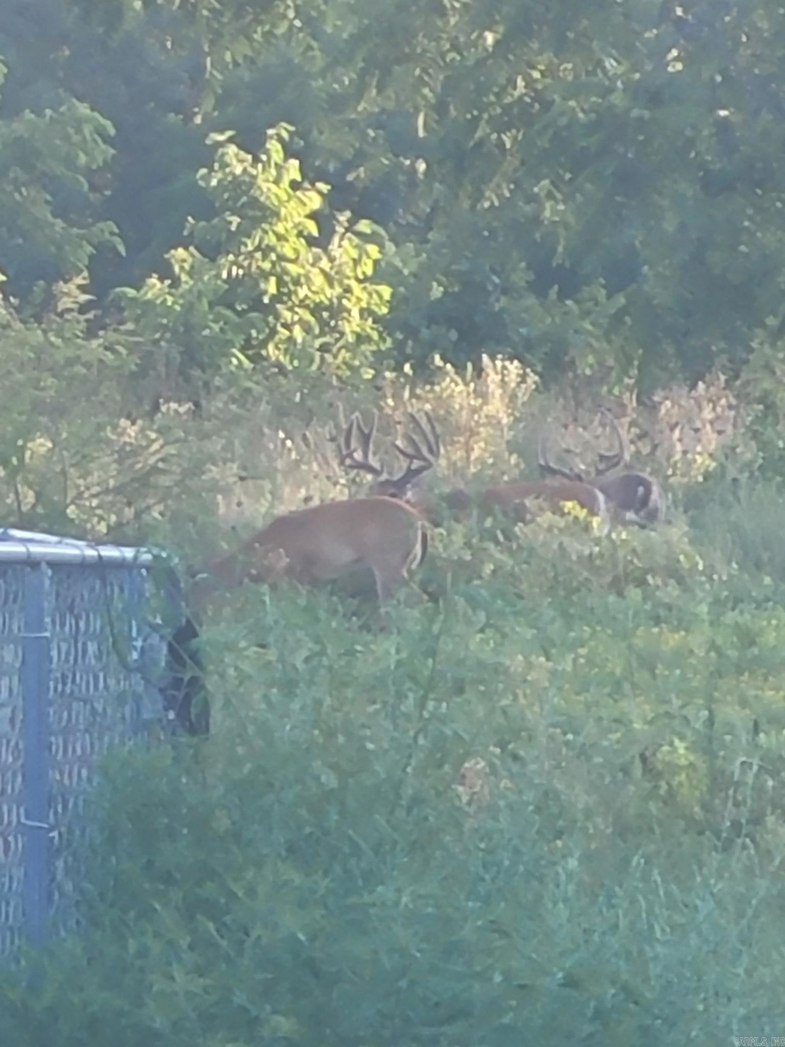 804 Banks Road Hardy, AR 72542