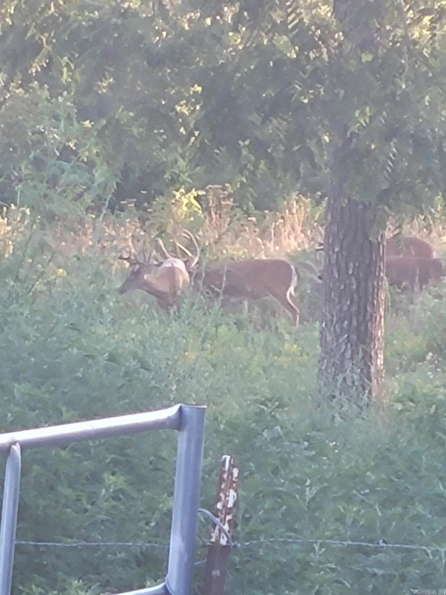 804 Banks Road Hardy, AR 72542