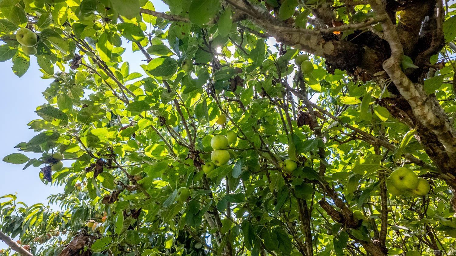 804 Banks Road  Hardy, AR