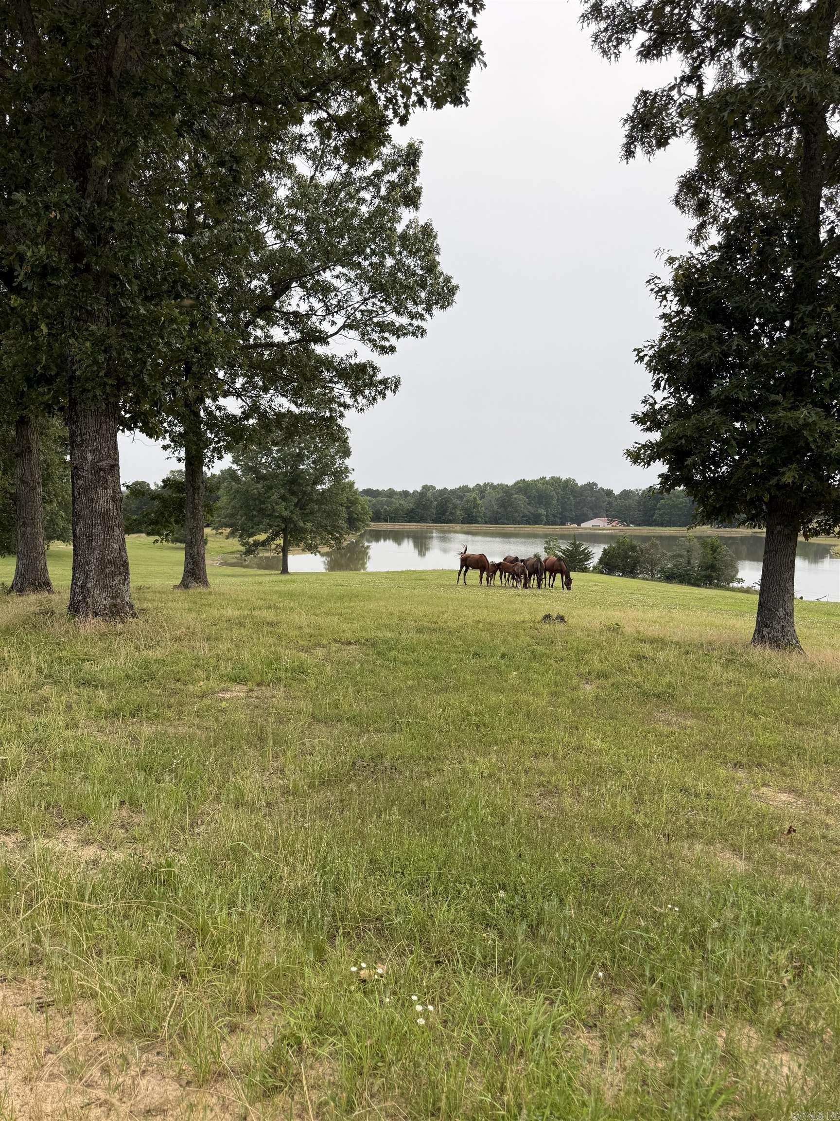 975 Sundance  Piggott, AR