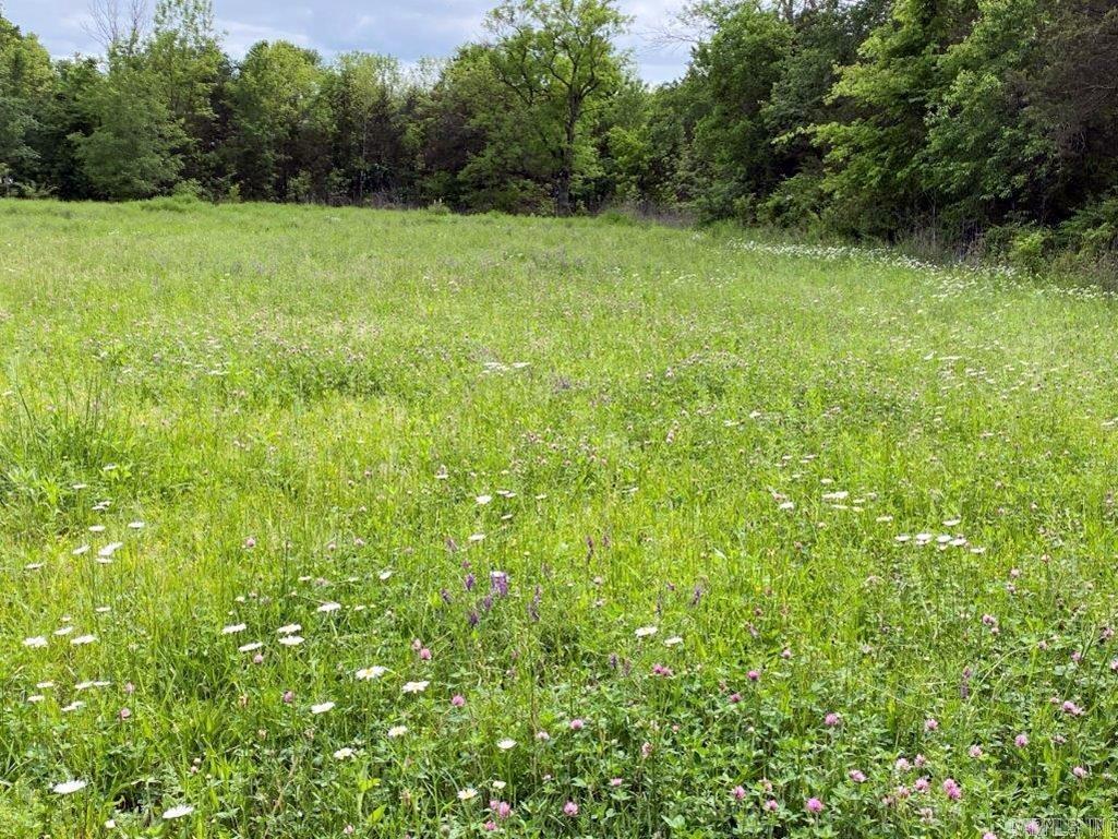 325 N HWY 65  Saint Joe, AR