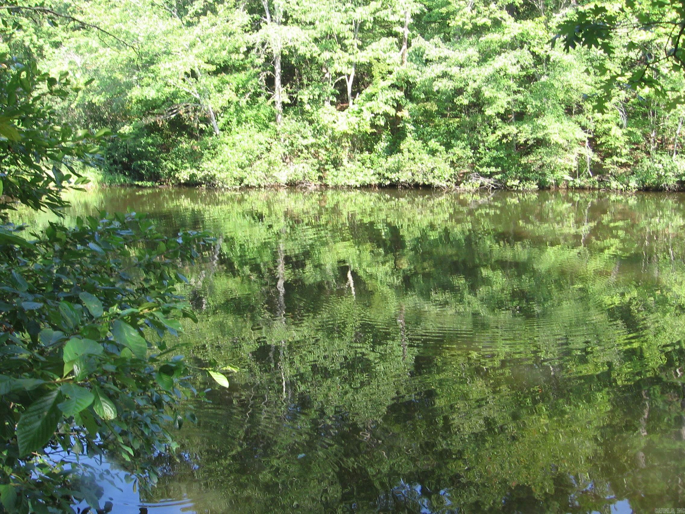 74 ESTREMEDURA DRIVE  Hot Springs Village, AR