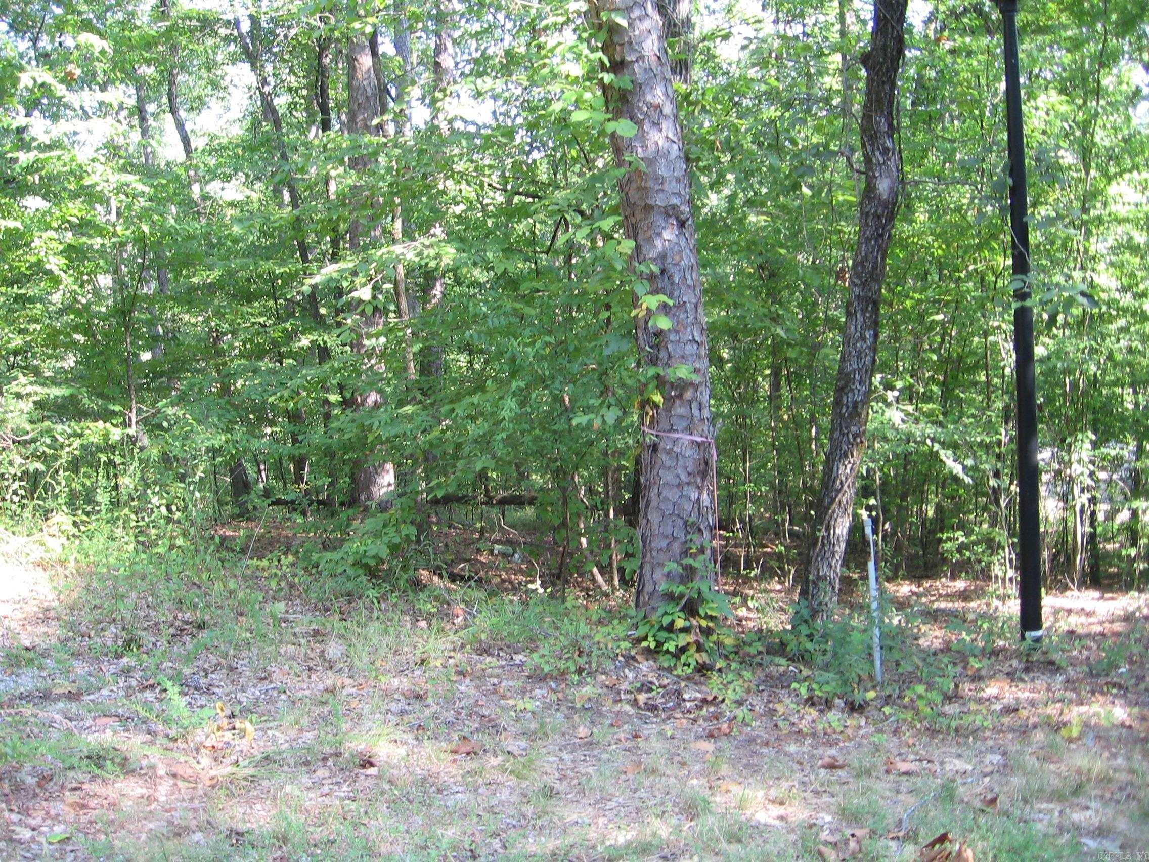 74 ESTREMEDURA DRIVE  Hot Springs Village, AR