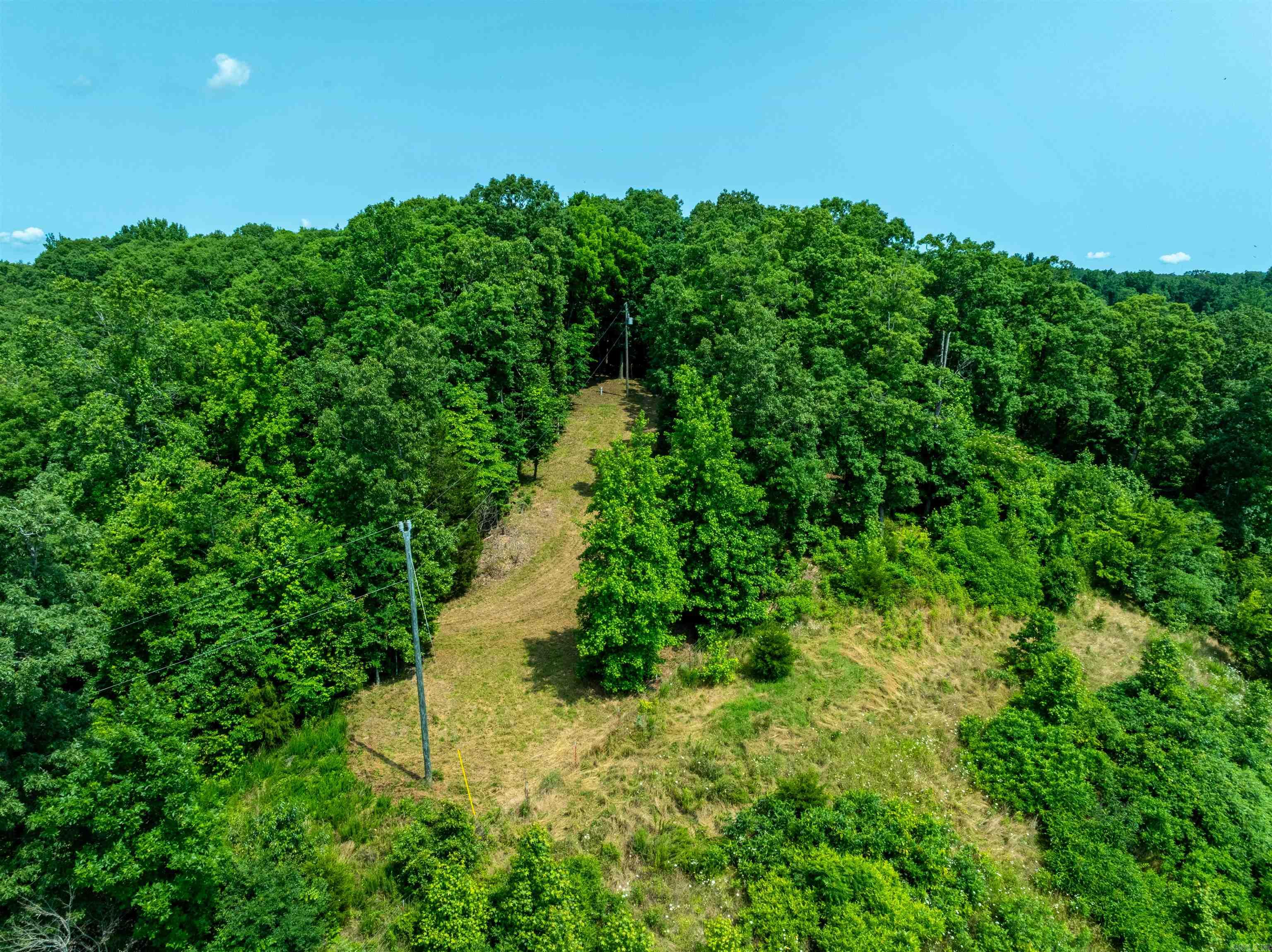 000 Sweet Gum  Batesville, AR