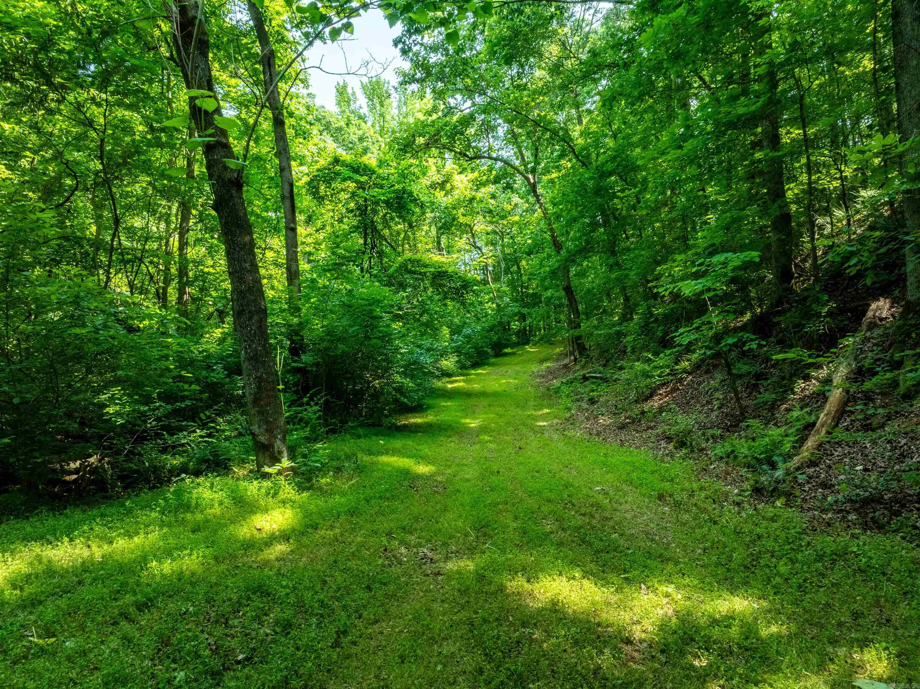 000 Sweet Gum  Batesville, AR