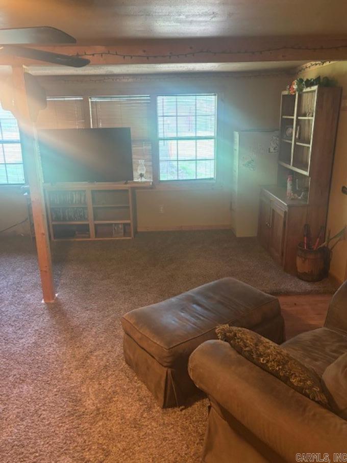 2907 beechnut dr Pine Bluff, AR 71603