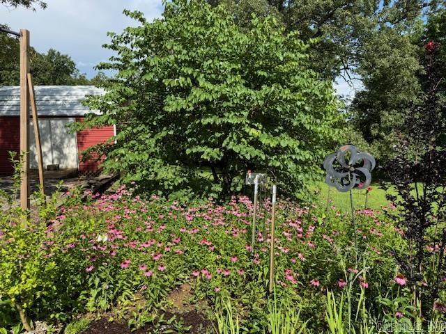 901 Cagle Road  Pocahontas, AR