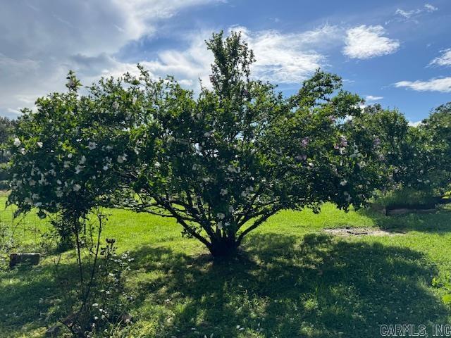 901 Cagle Road  Pocahontas, AR