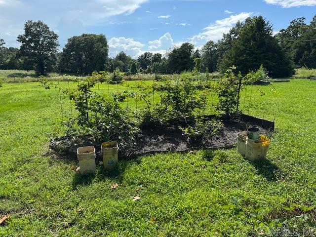 901 Cagle Road  Pocahontas, AR