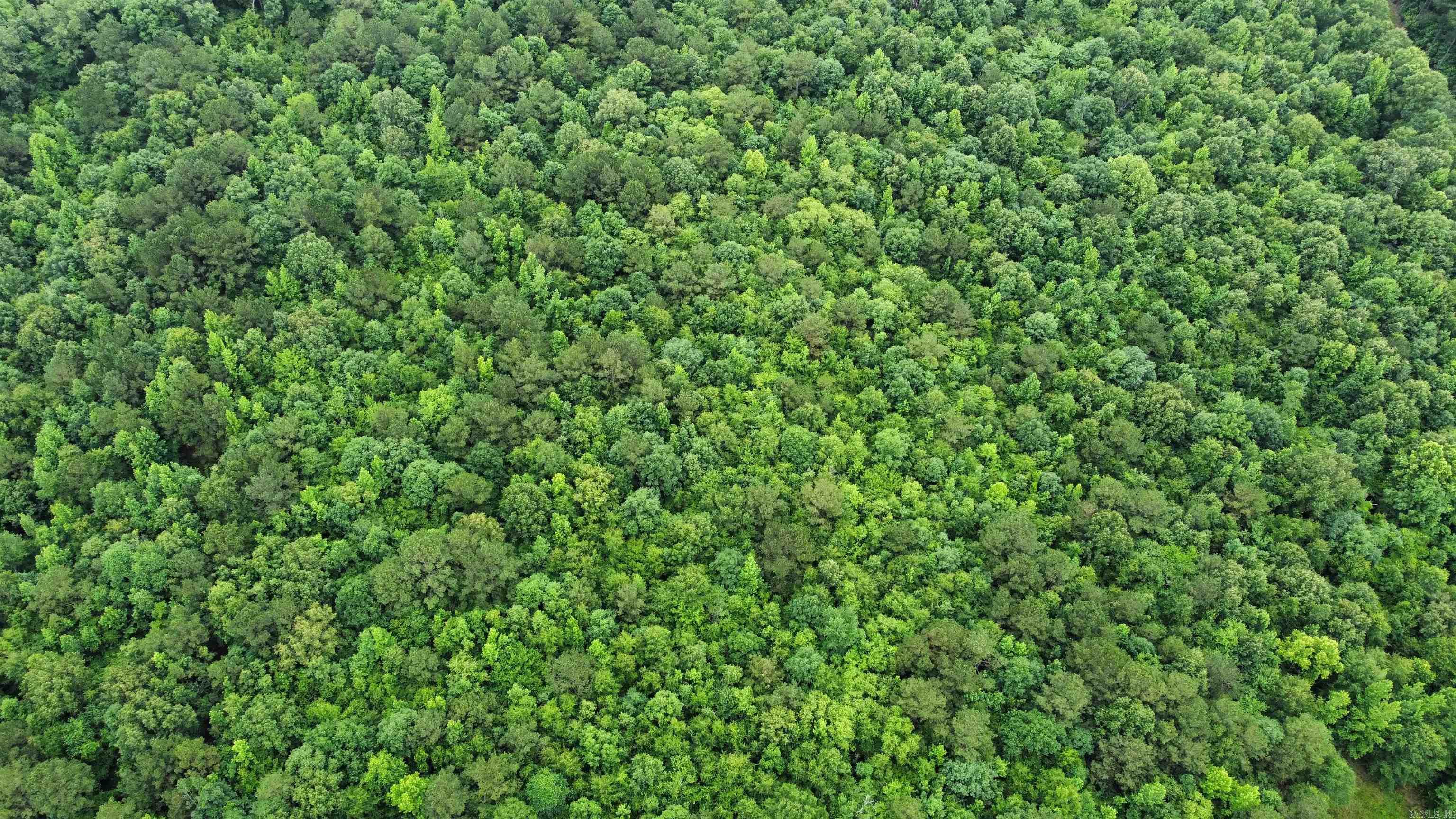  mt Olive  Arkadelphia, AR