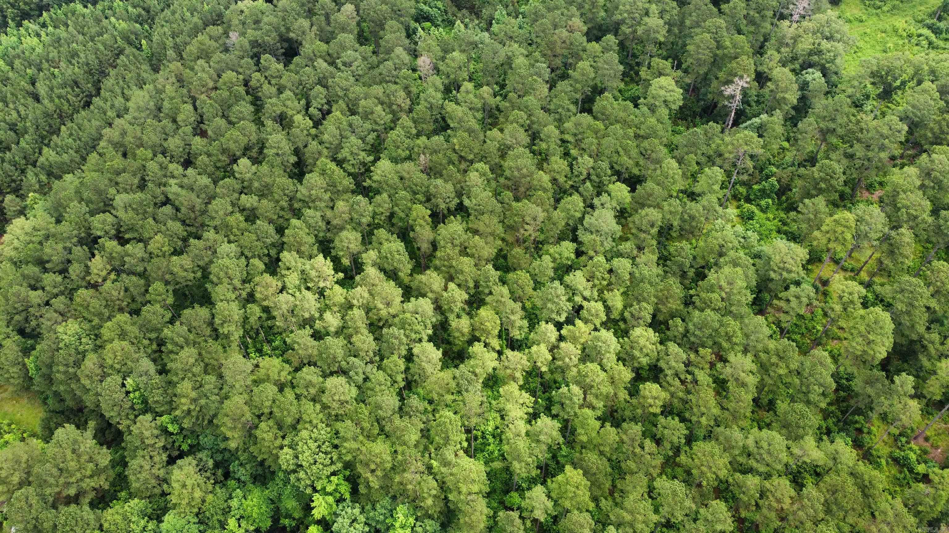  mt Olive  Arkadelphia, AR