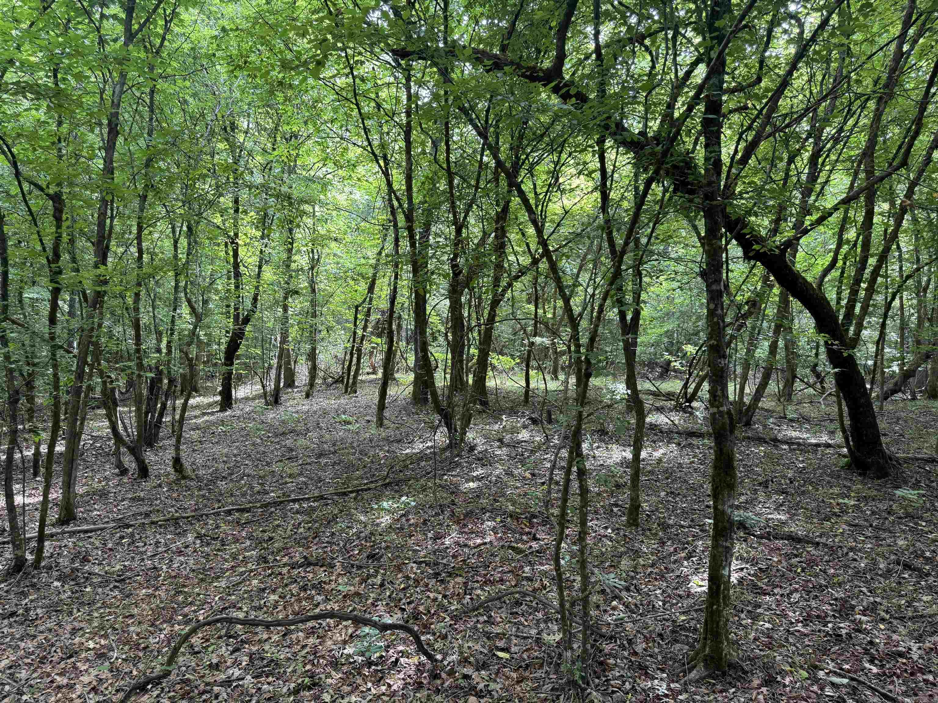  mt Olive  Arkadelphia, AR