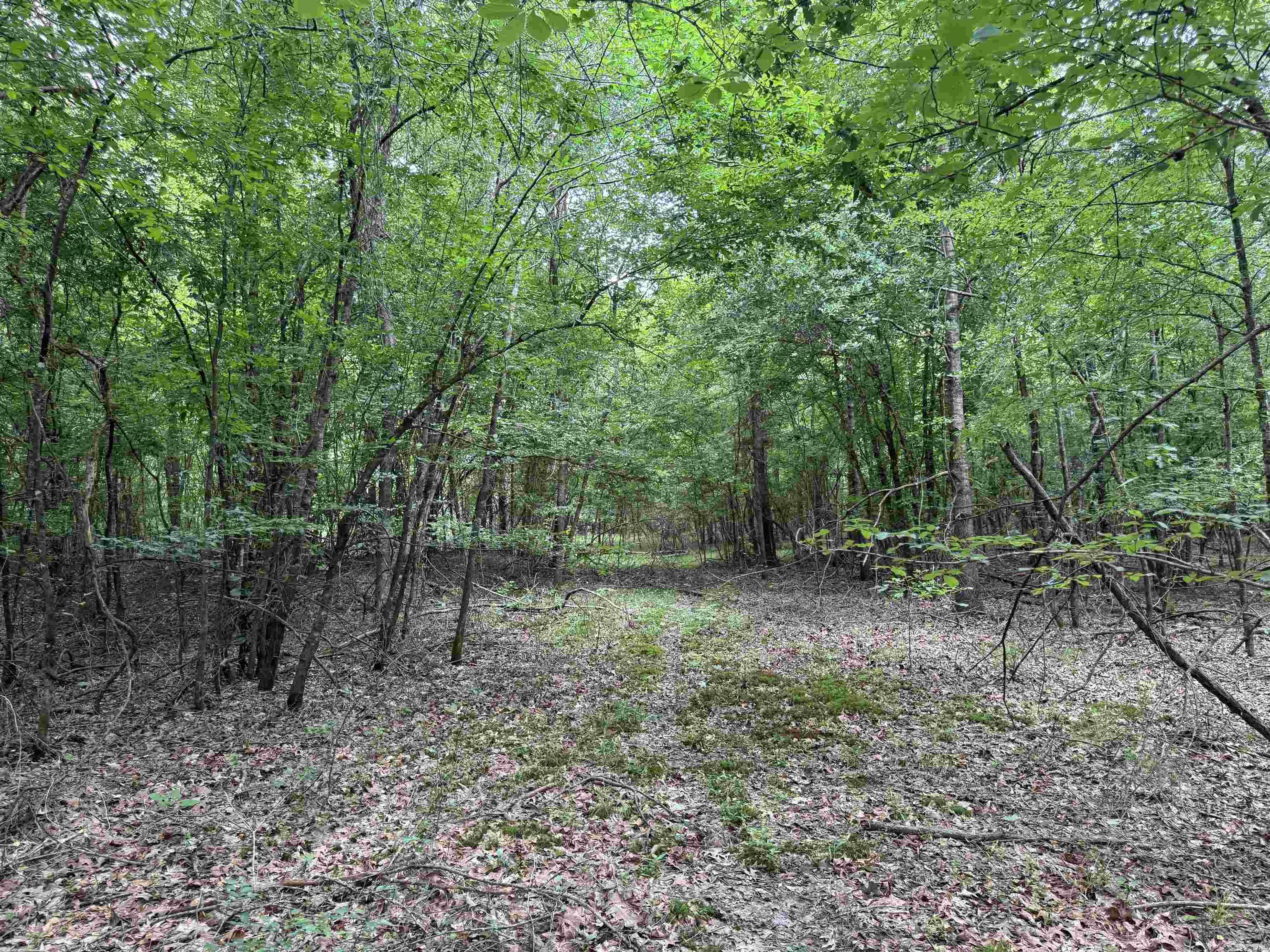  mt Olive  Arkadelphia, AR