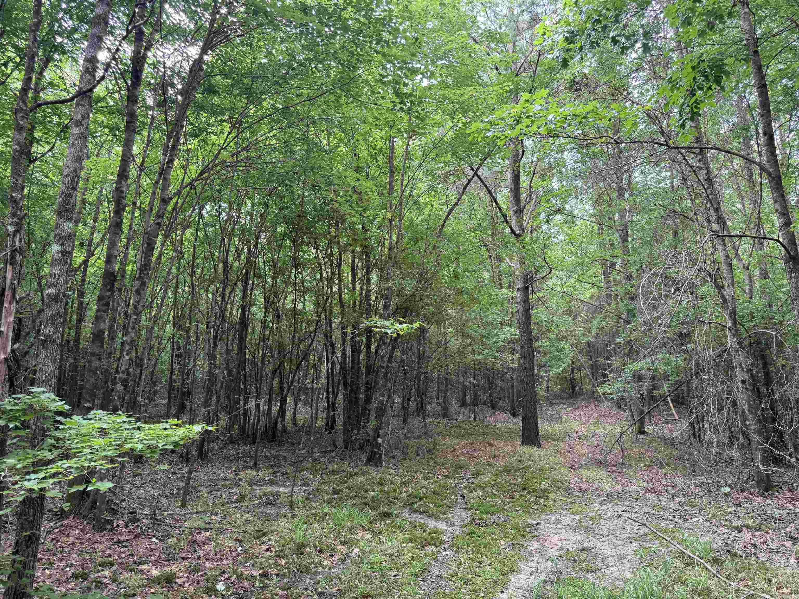  mt Olive  Arkadelphia, AR