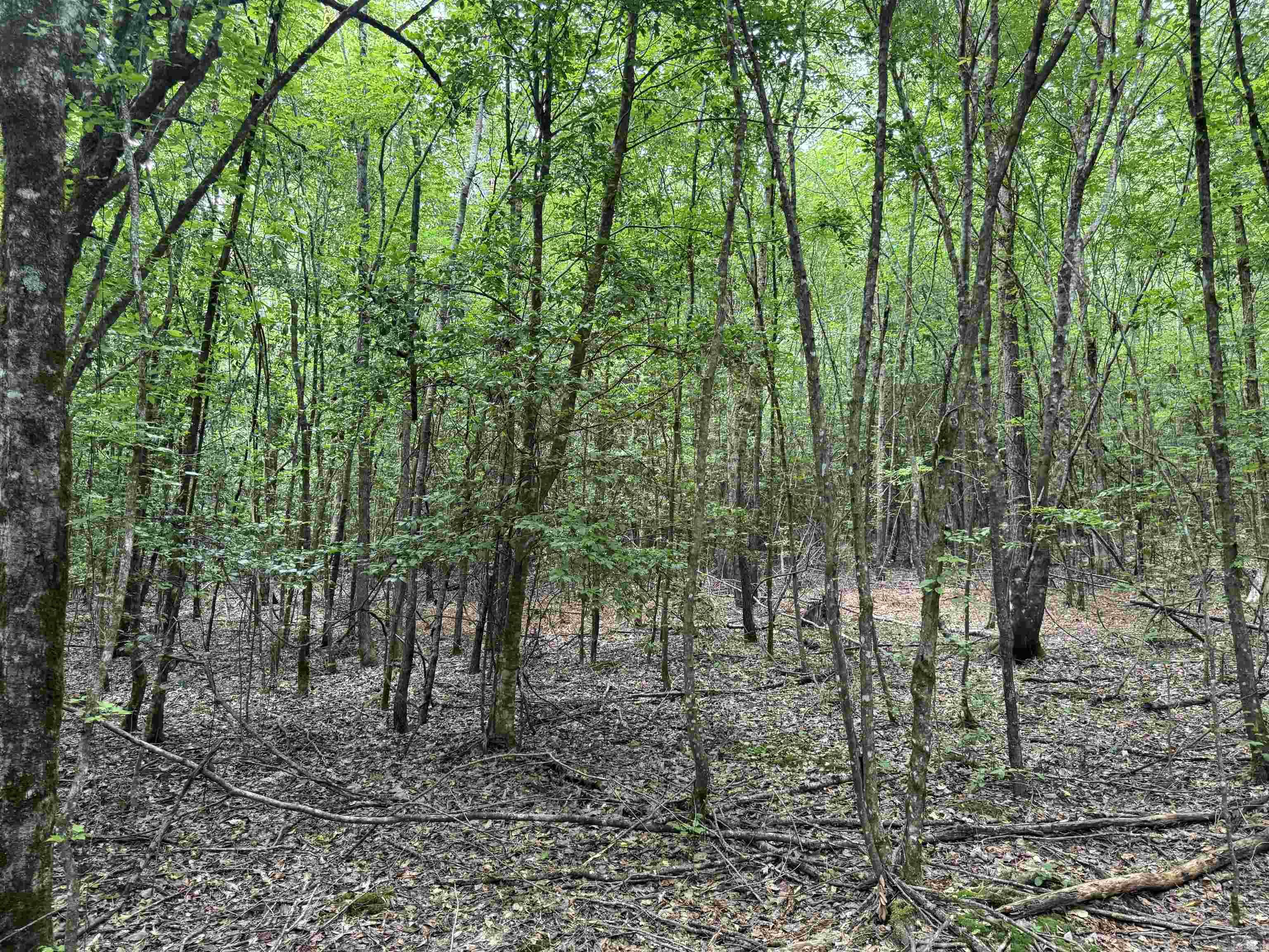  mt Olive  Arkadelphia, AR