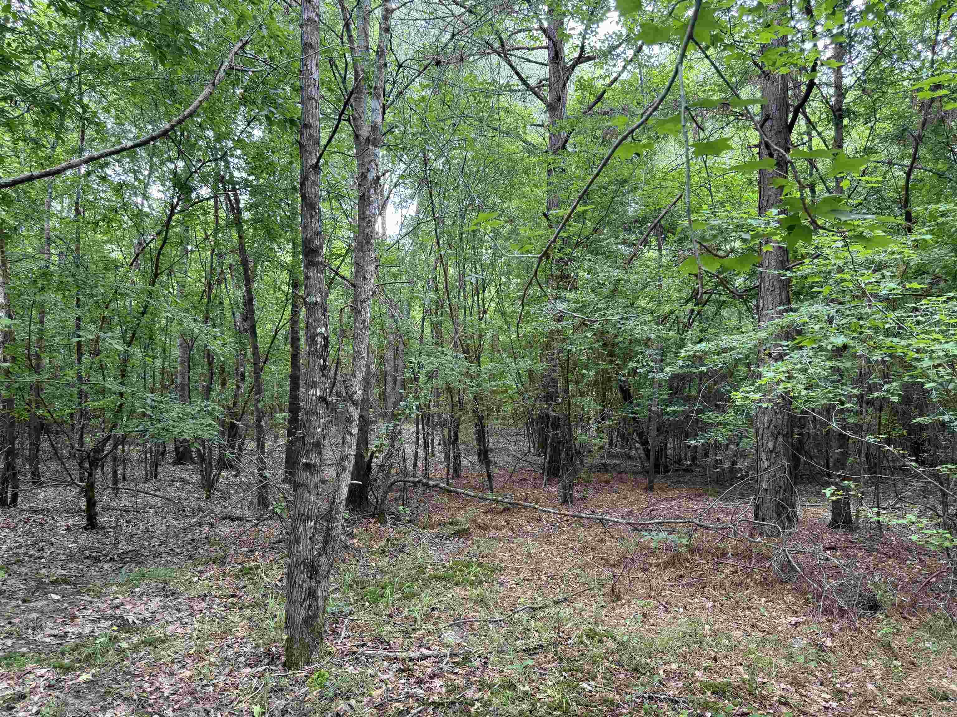  mt Olive  Arkadelphia, AR