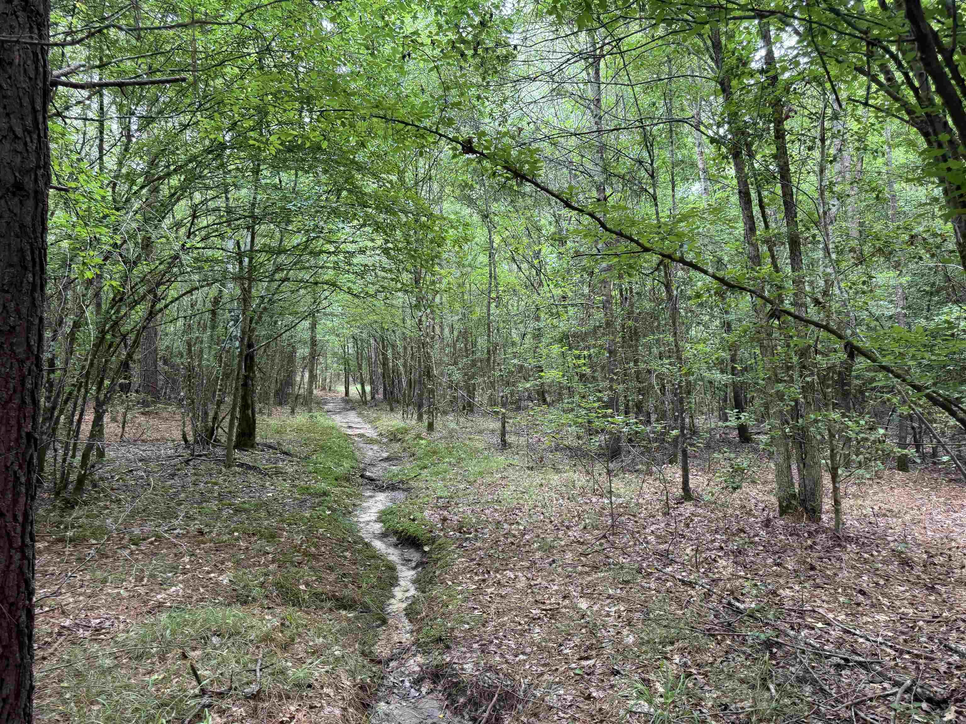  mt Olive  Arkadelphia, AR