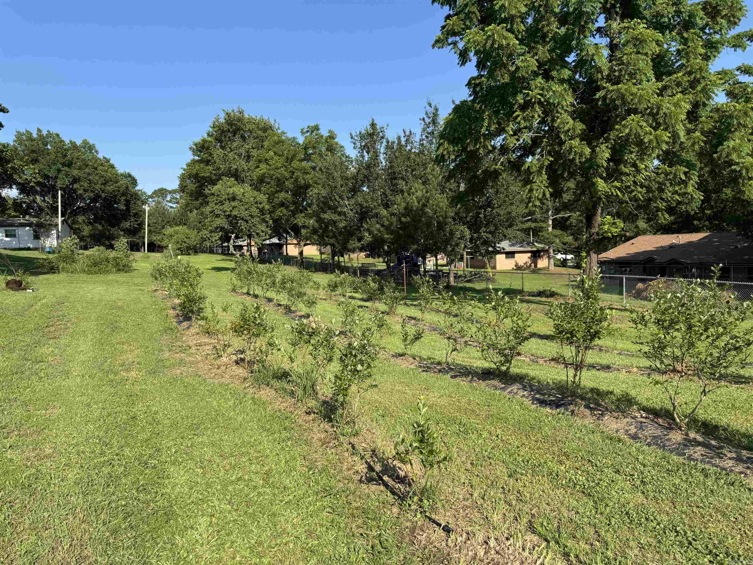 7498 US HWY 71 S  Wickes, AR