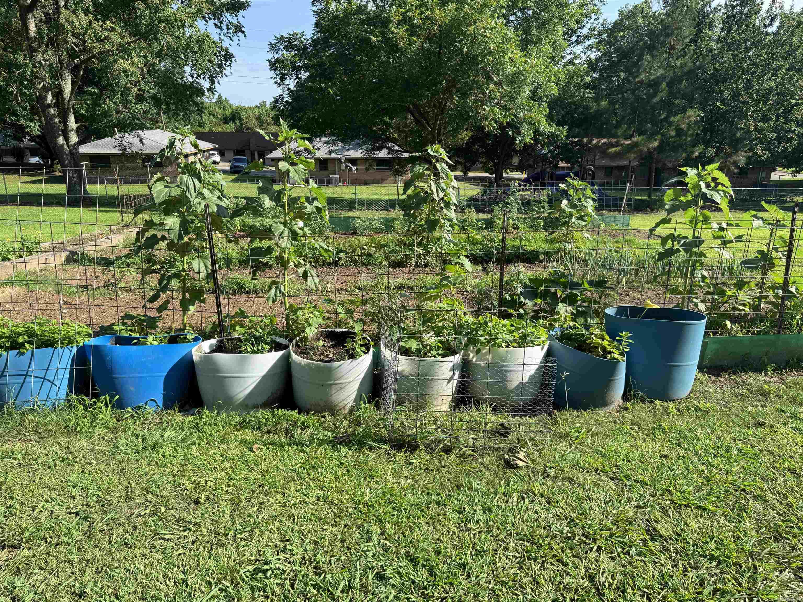 7498 US HWY 71 S  Wickes, AR