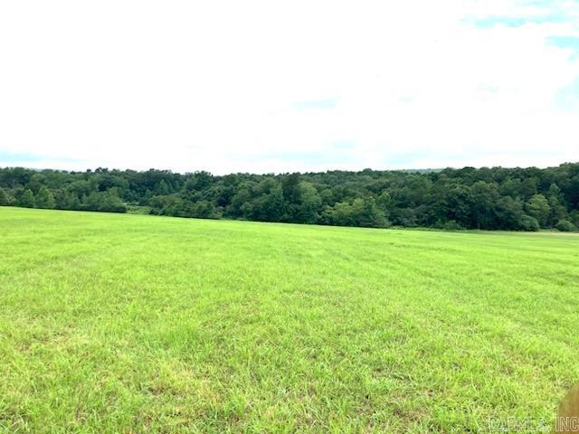  Crockett  Rose Bud, AR