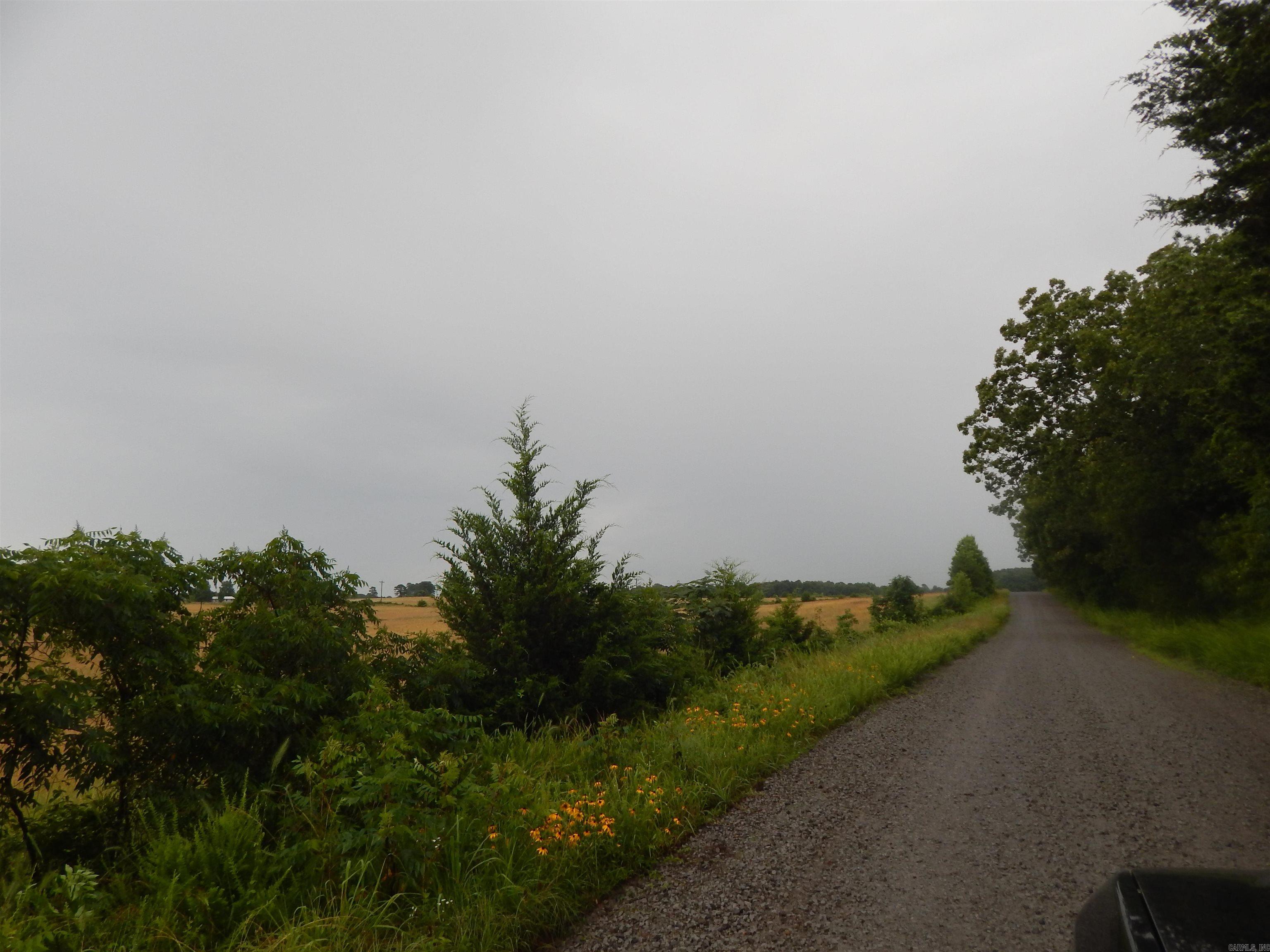  Crockett  Rose Bud, AR