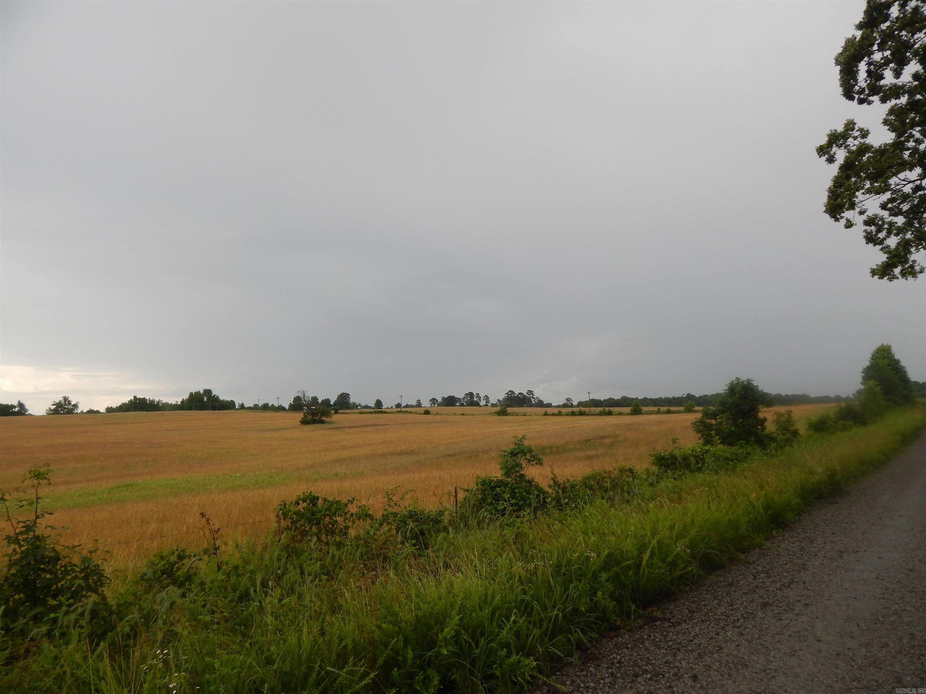  Crockett  Rose Bud, AR