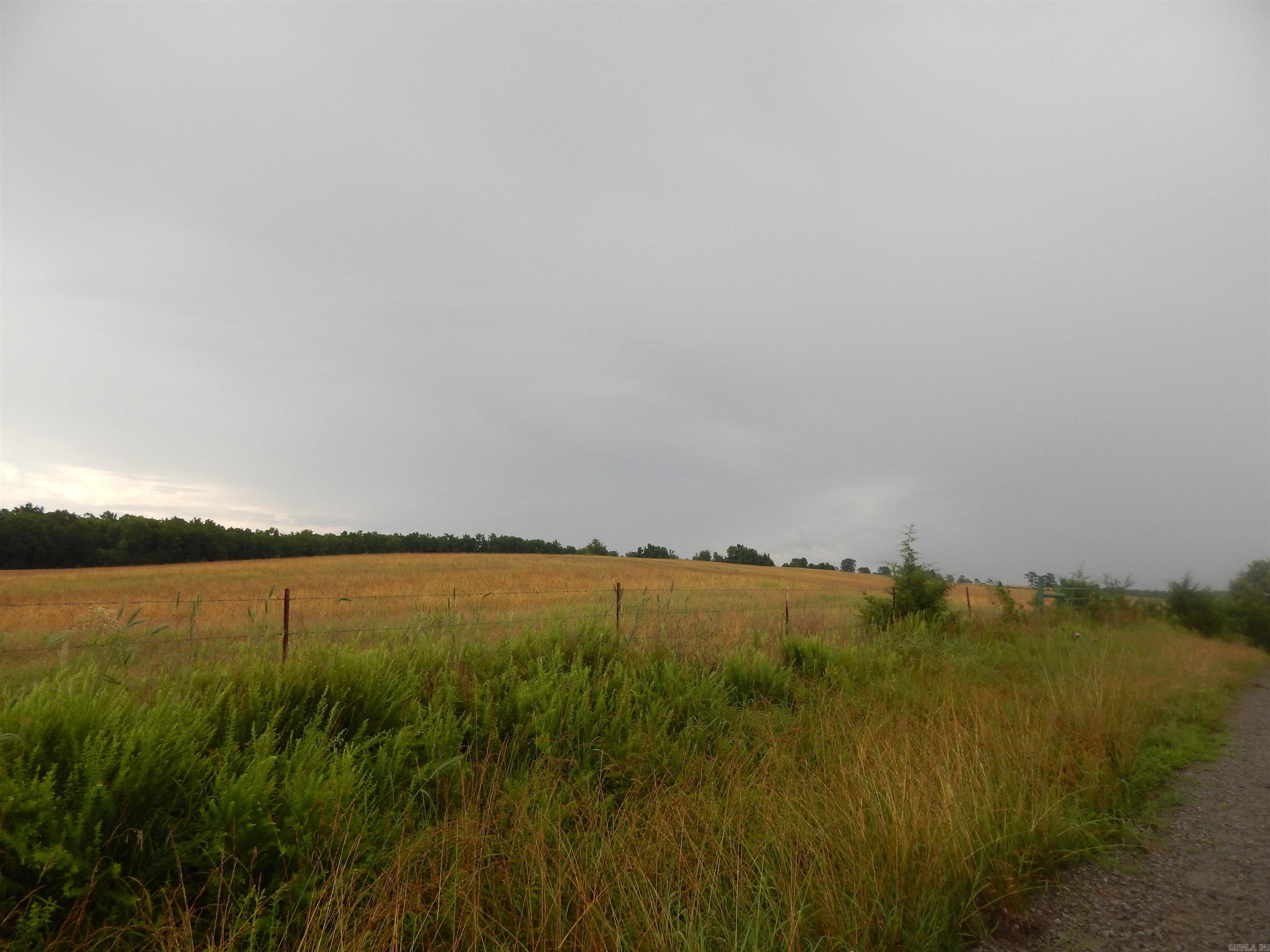  Crockett  Rose Bud, AR