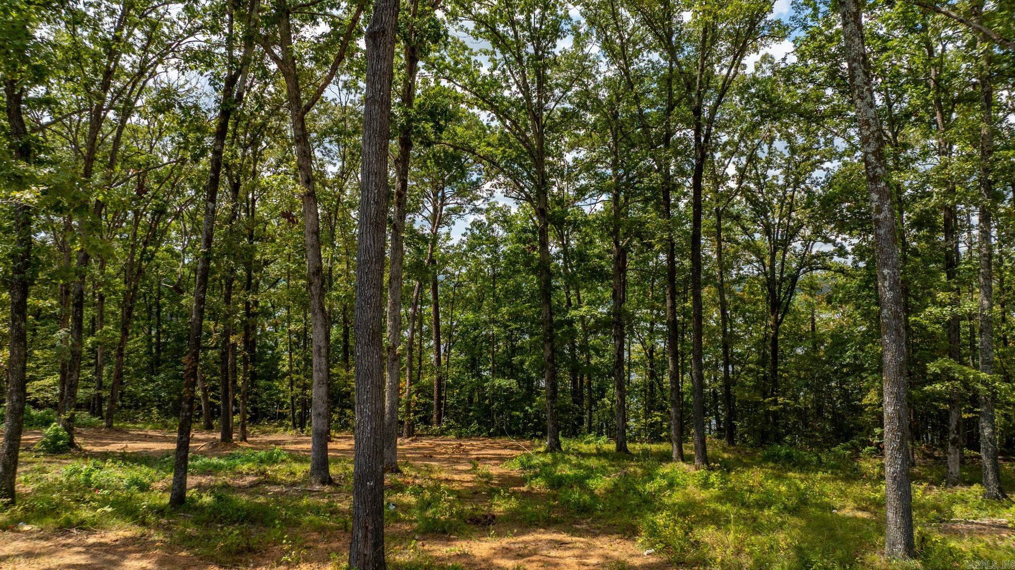 35 Elrod Drive  Greers Ferry, AR