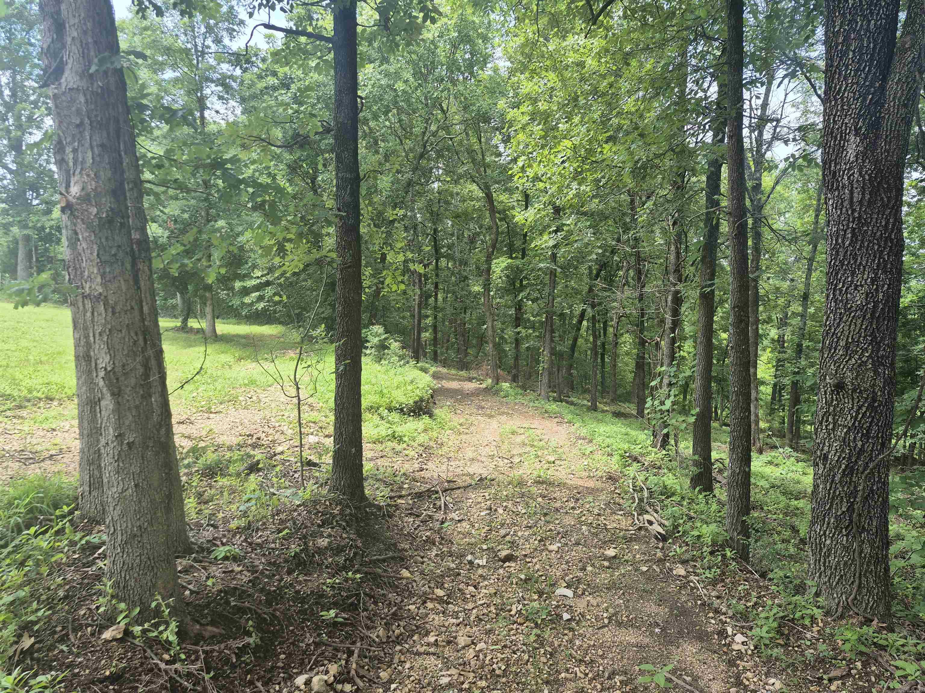 18195 N Hwy 65  Saint Joe, AR