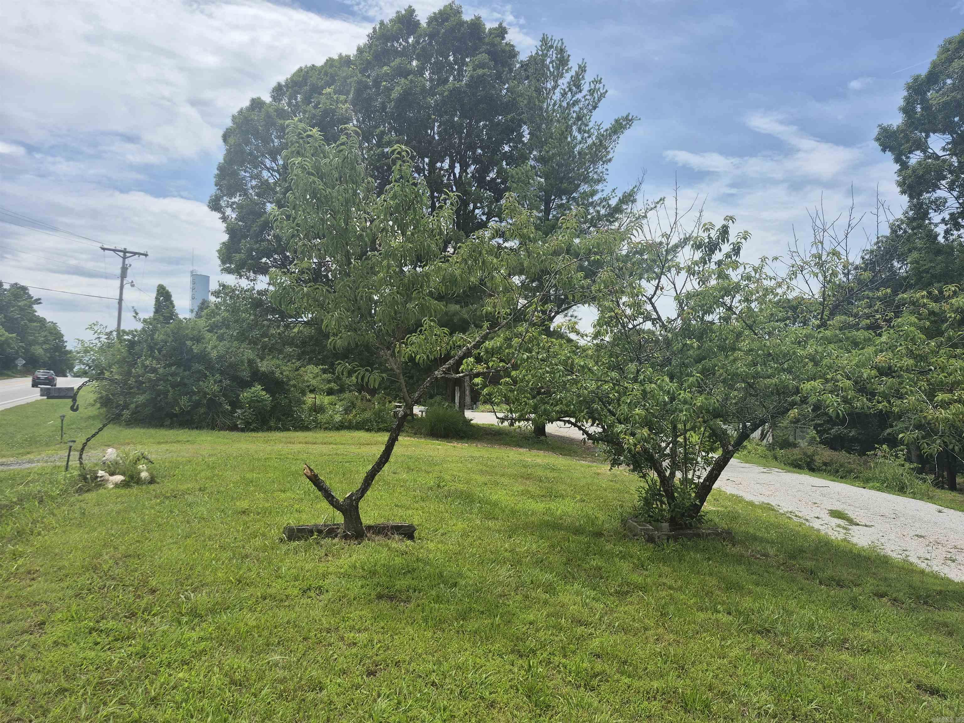 18195 N Hwy 65  Saint Joe, AR