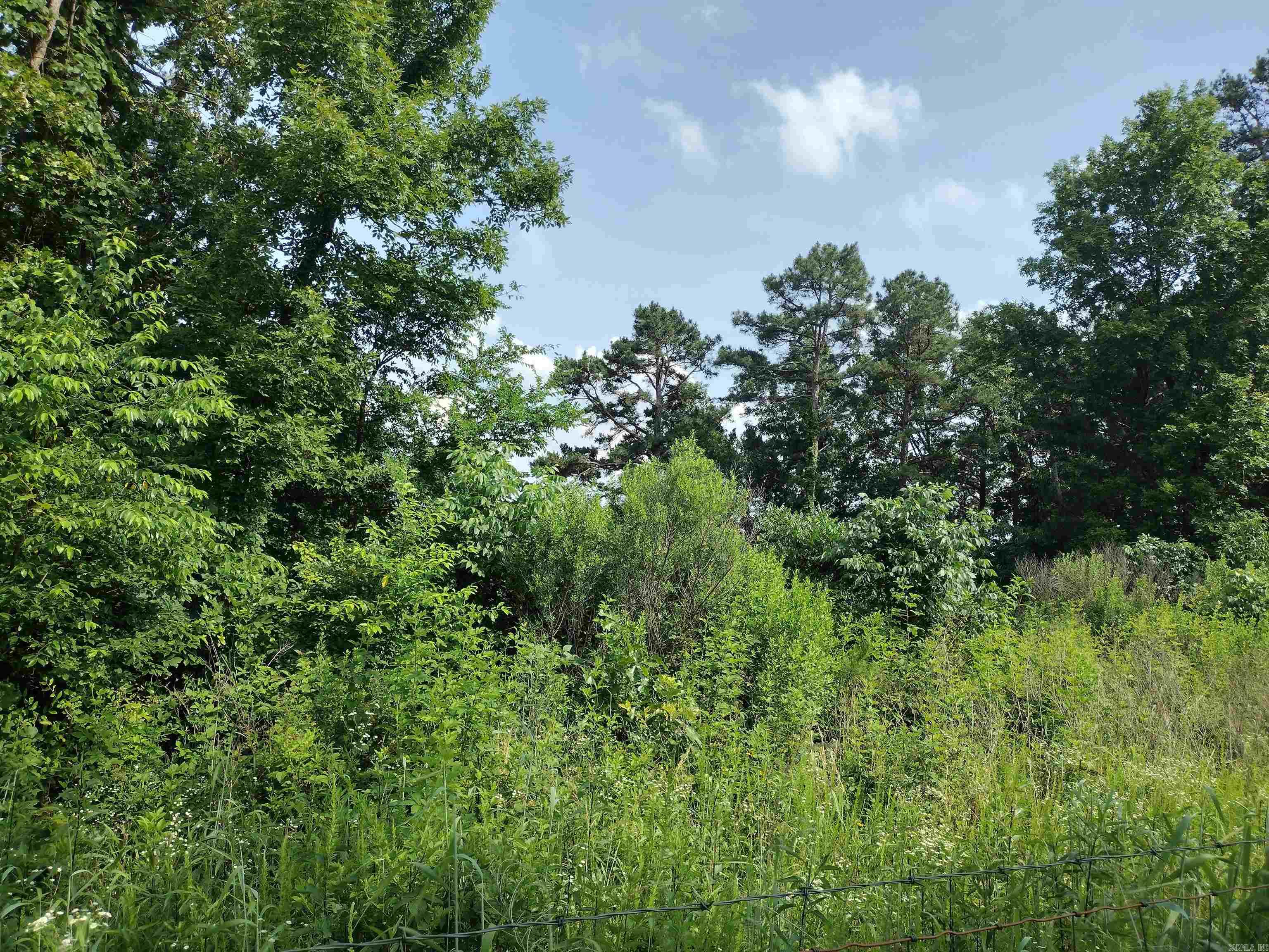 0 Greers Ferry Road  Greers Ferry, AR