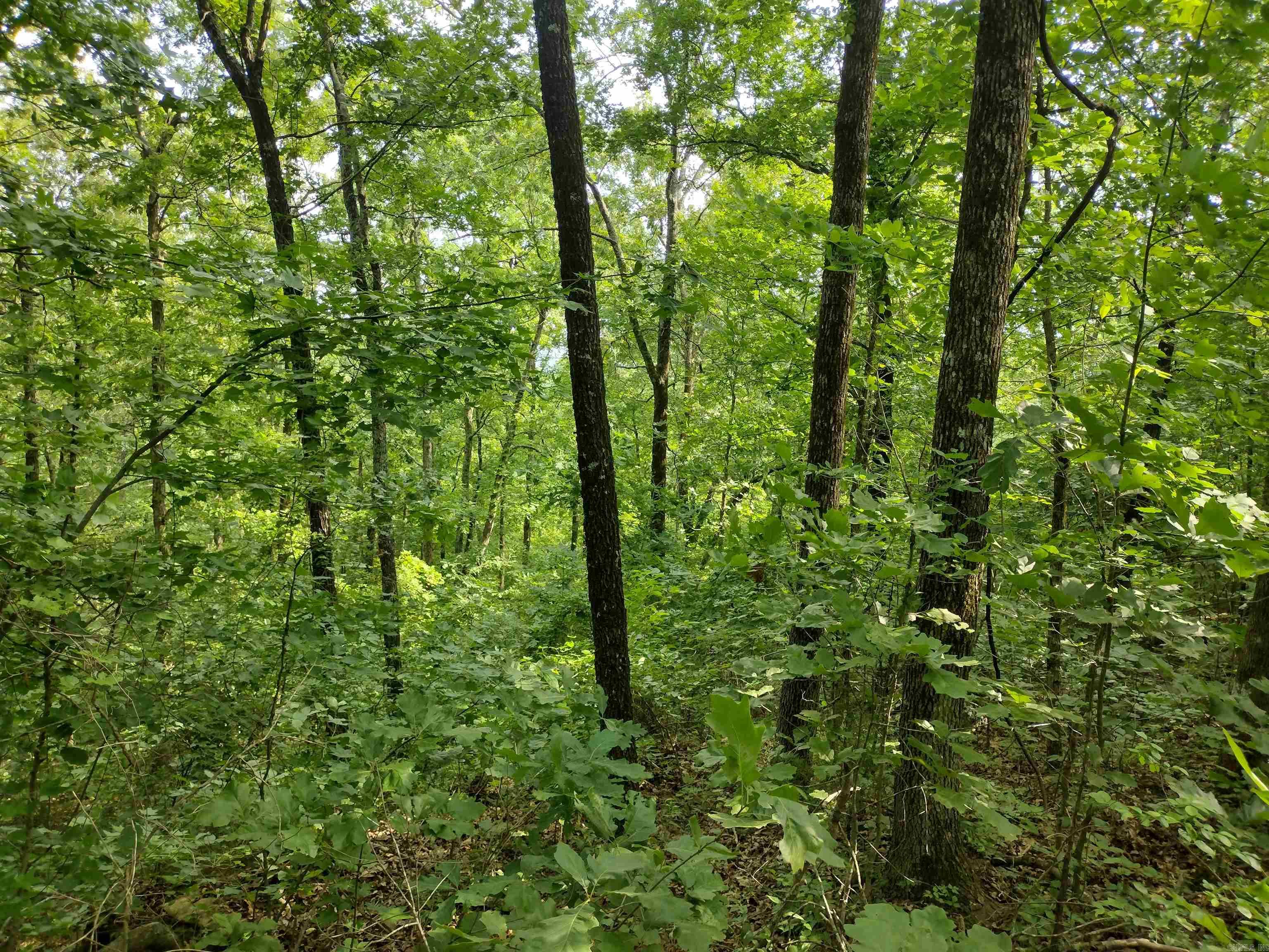 0 Greers Ferry Road  Greers Ferry, AR