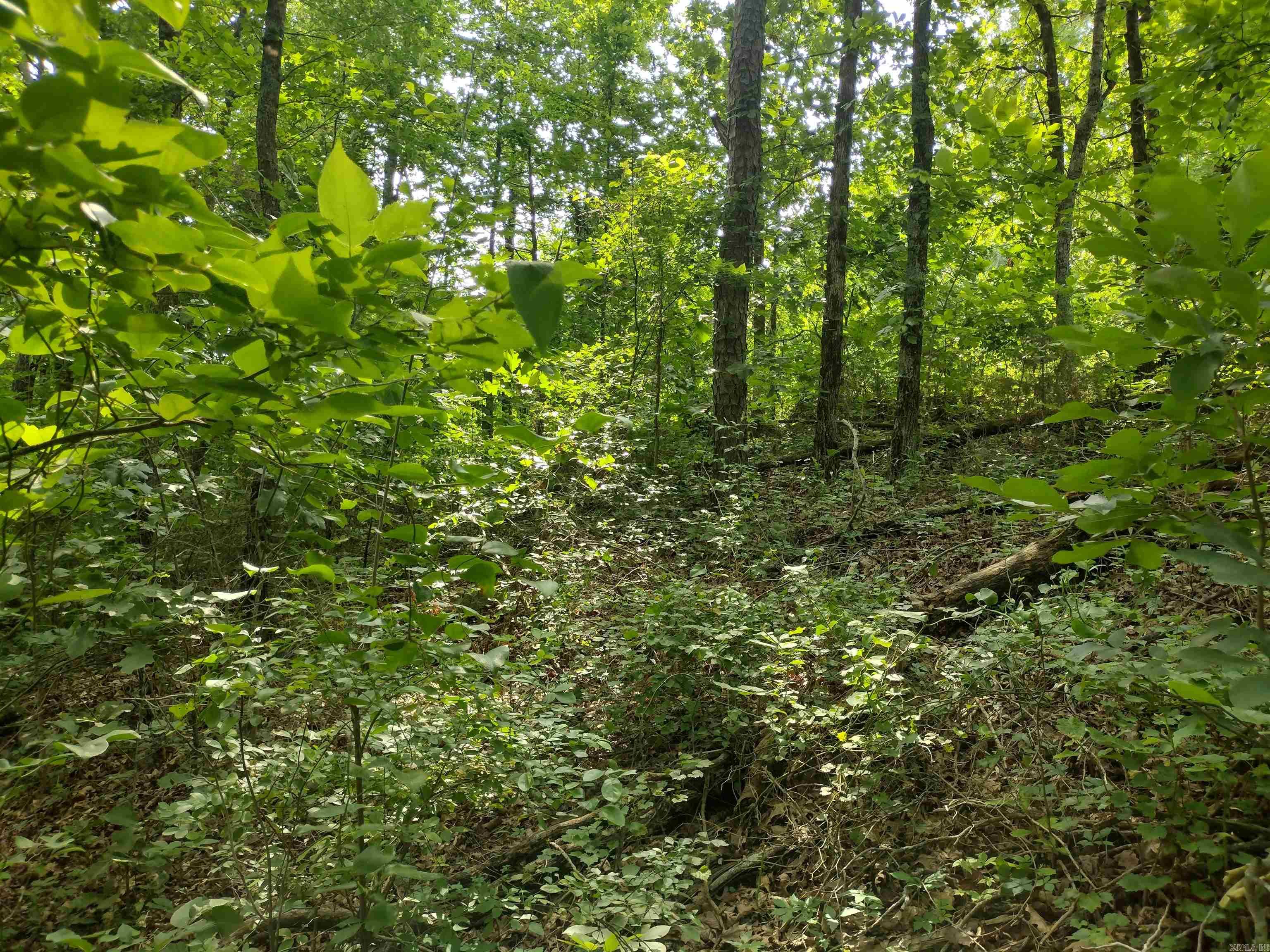 0 Greers Ferry Road  Greers Ferry, AR