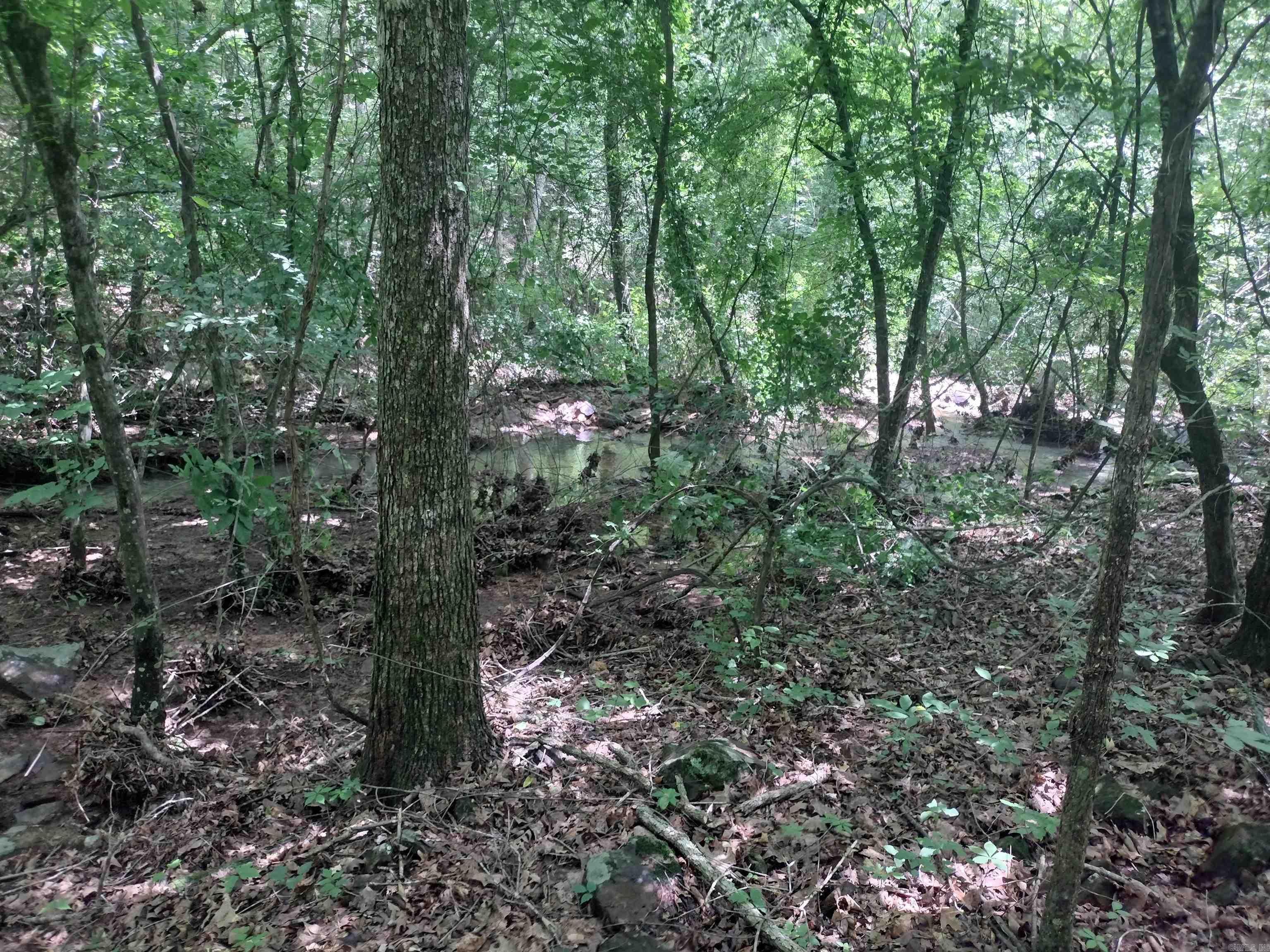 0 Greers Ferry Road  Greers Ferry, AR