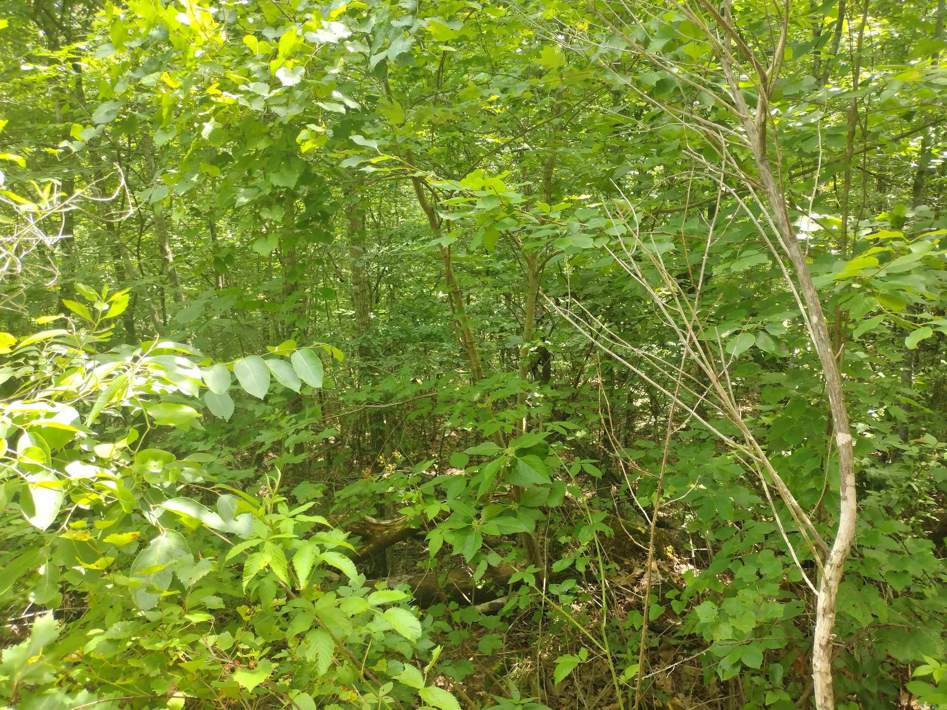 0 Greers Ferry Road  Greers Ferry, AR