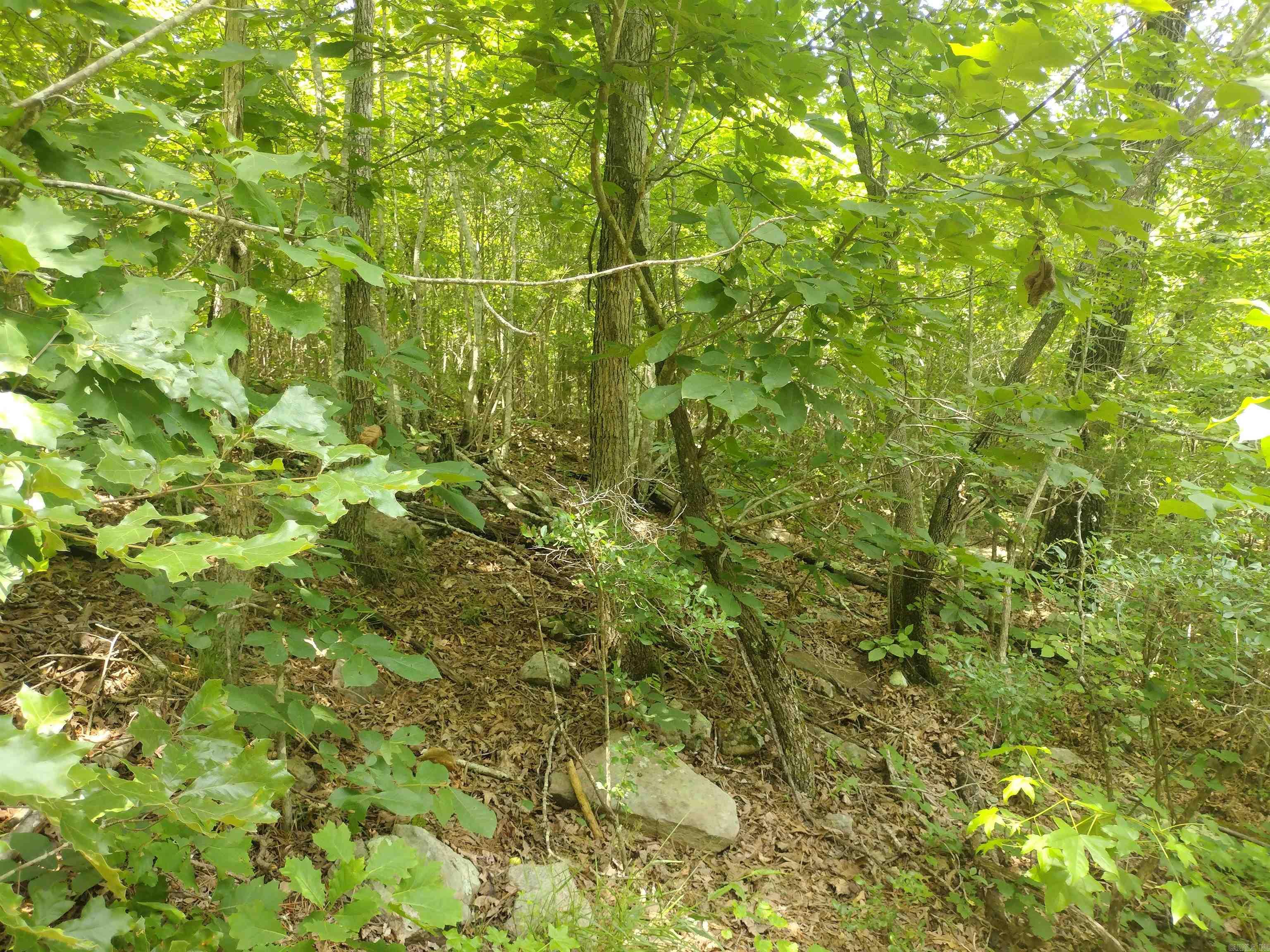 0 Greers Ferry Road  Greers Ferry, AR