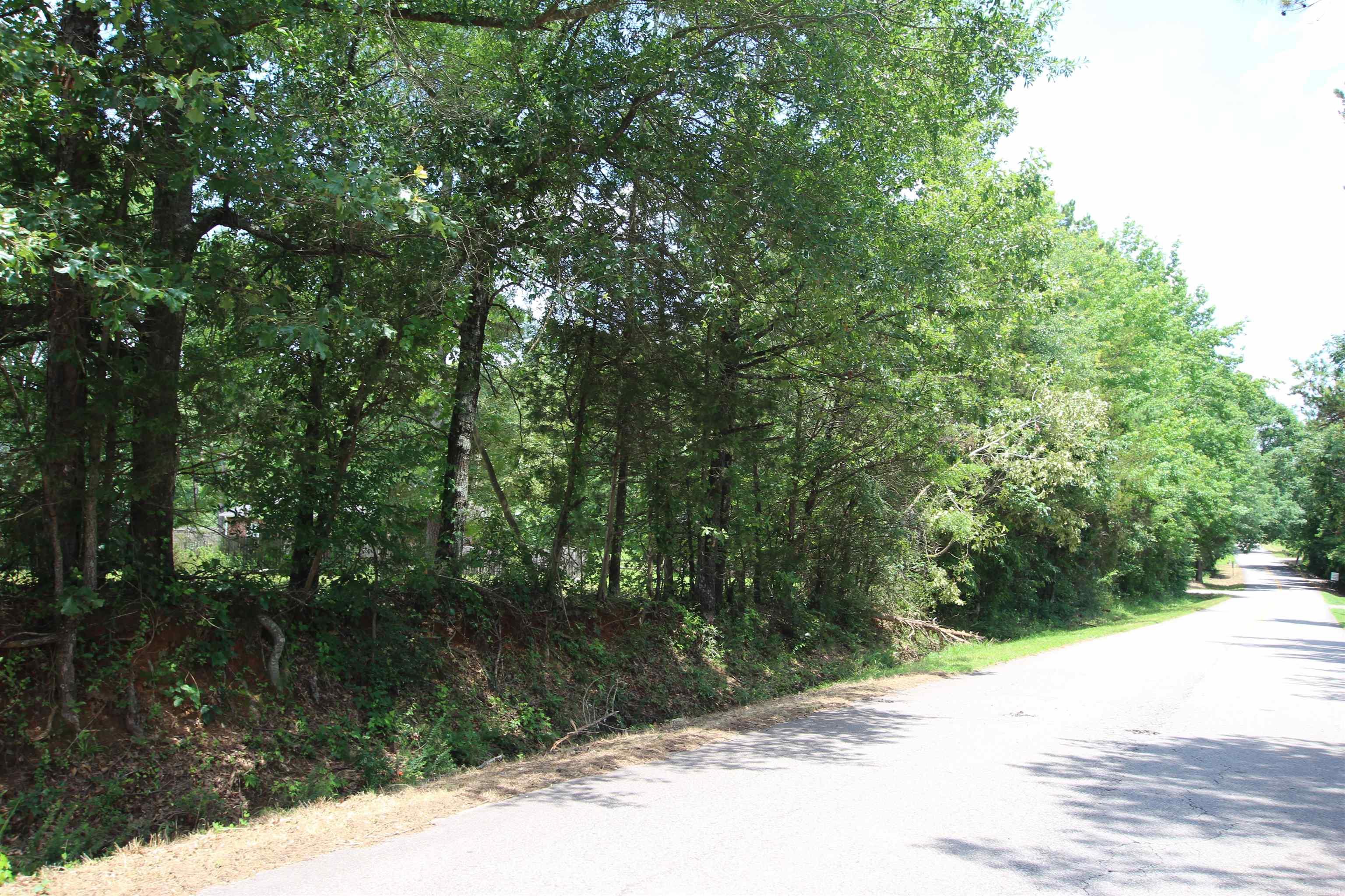 Lot 19 Round Rock  Russellville, AR