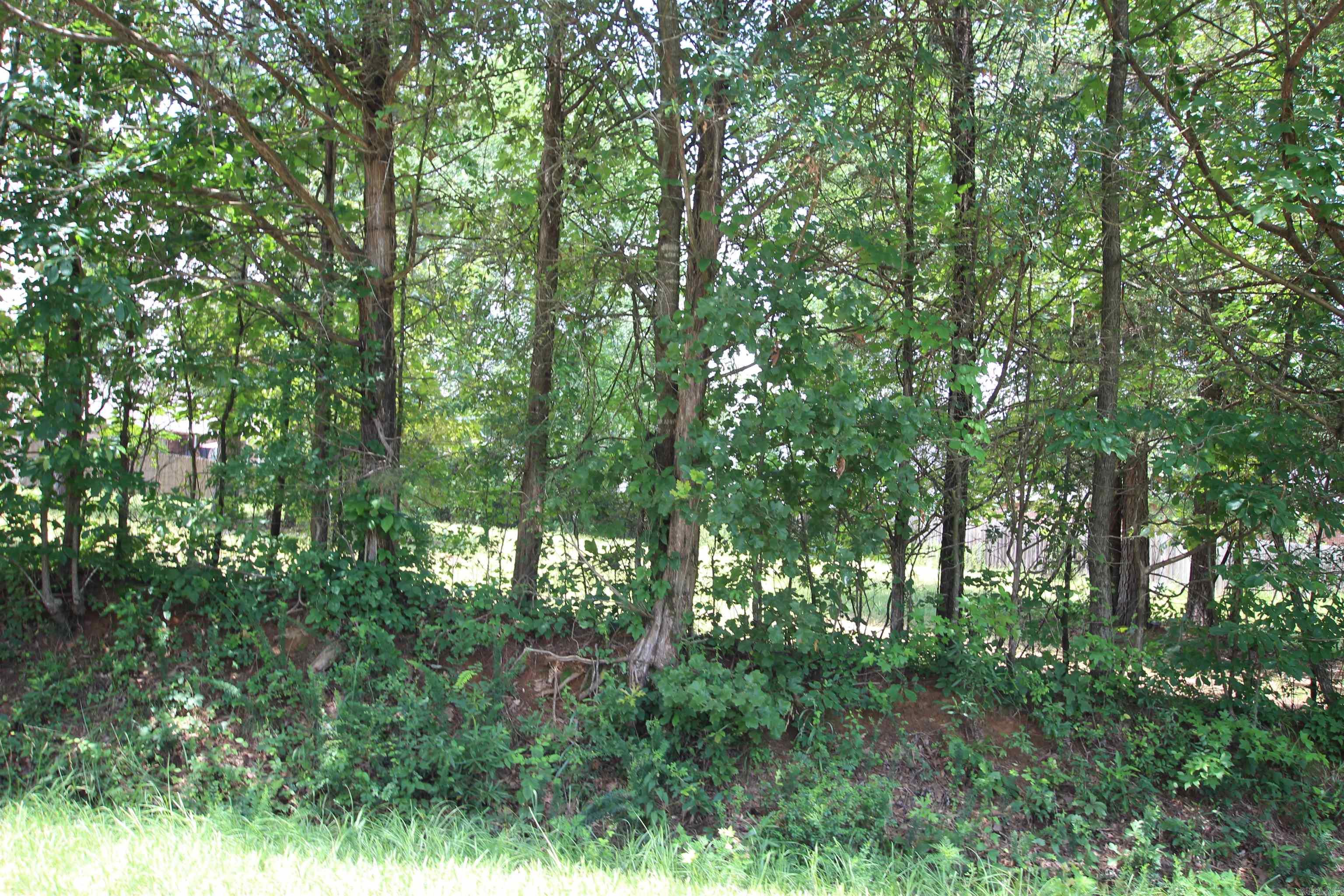 Lot 19 Round Rock  Russellville, AR